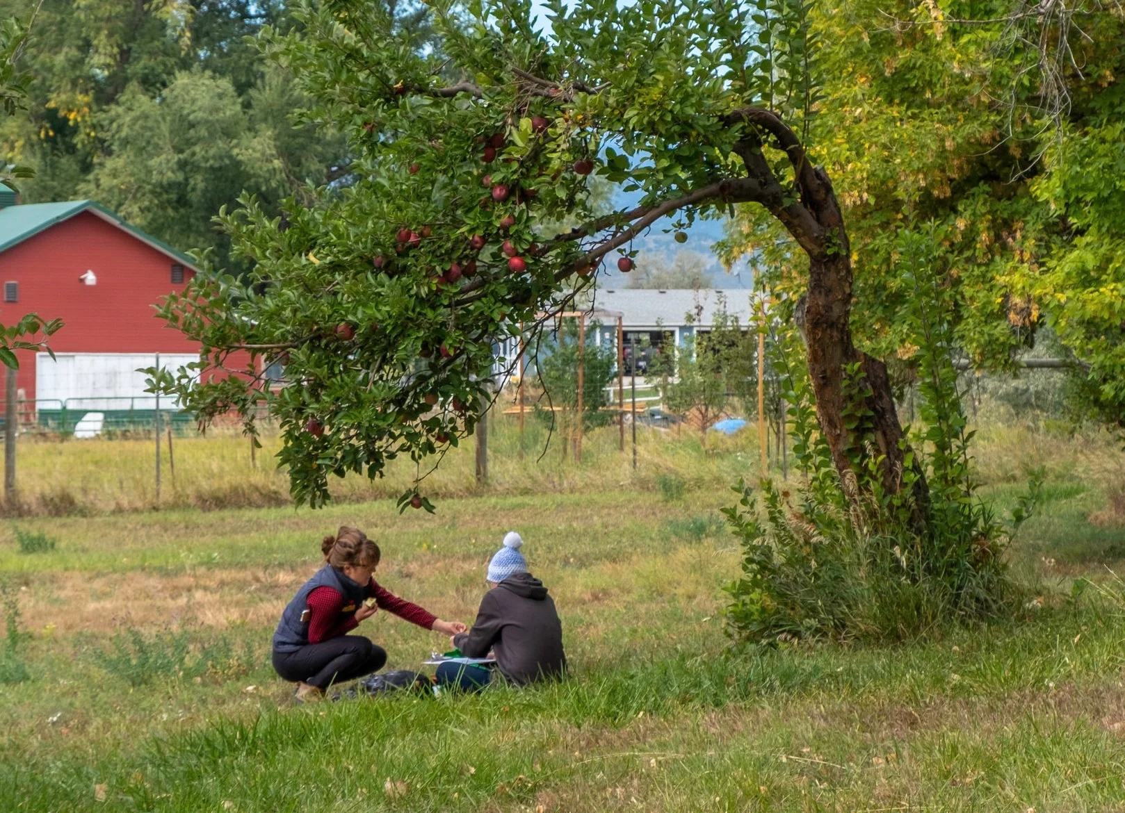 Reflections on Undergraduate History Research in BATP