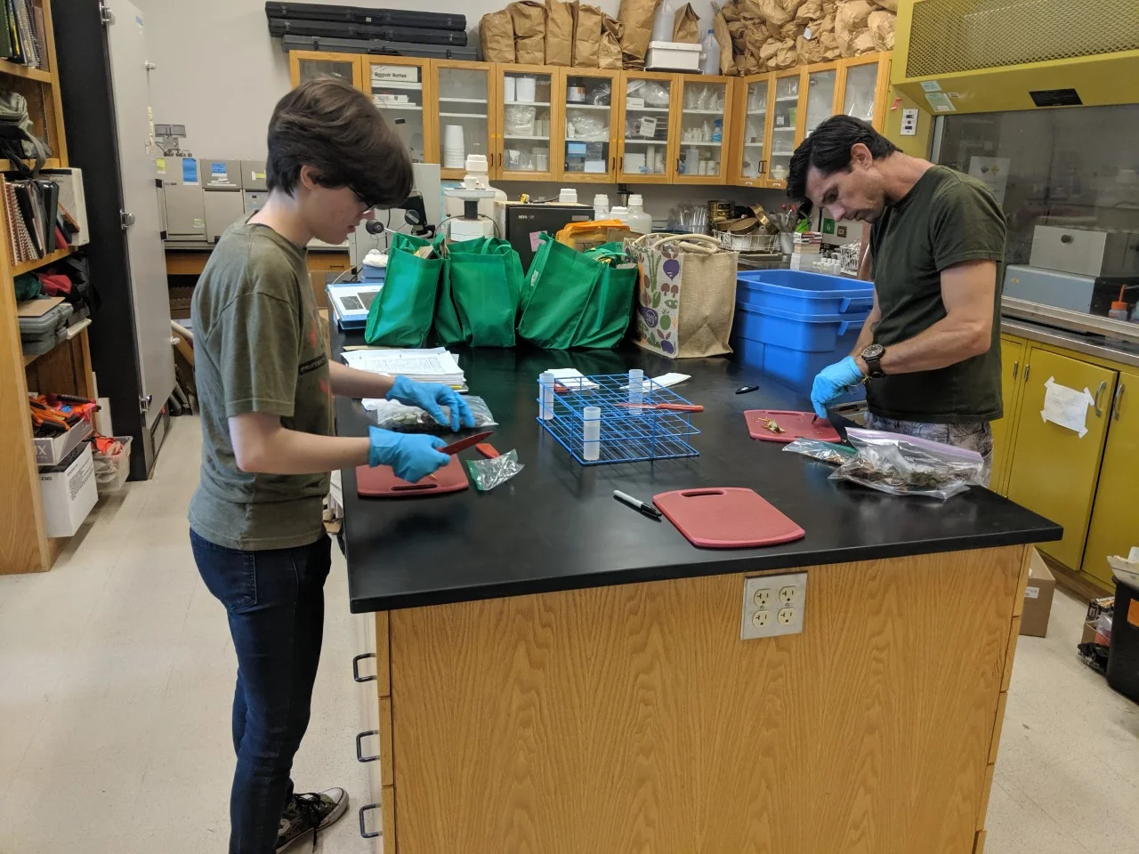 Darcy Traynor and Brandon Sandoval, interns from Front Range Community College are preparing tree bark samples for initial testing of the fire blight experiment.