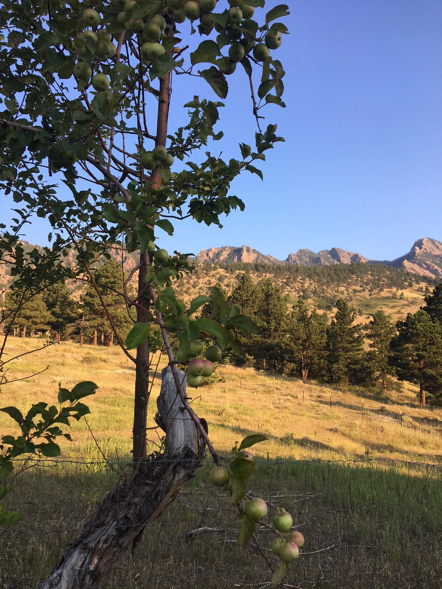 Join Us for a Community History Day for the North Boulder/Newlands Neighborhoods