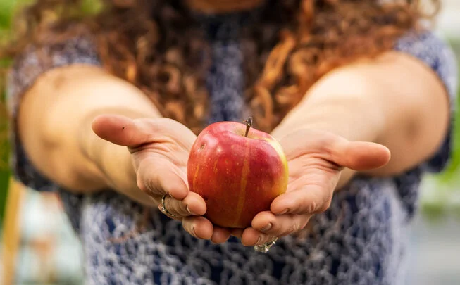 Warmest Holiday wishes from the Boulder Apple Tree Project