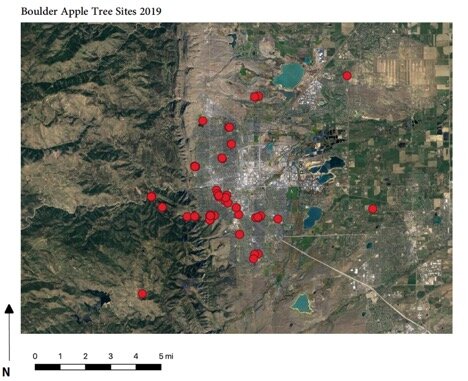 Mapping new apple occurrences in 2019