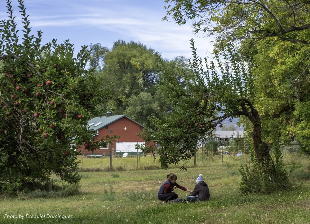 Historian Amelia Brackett Hogstad assists a student with field data collection.