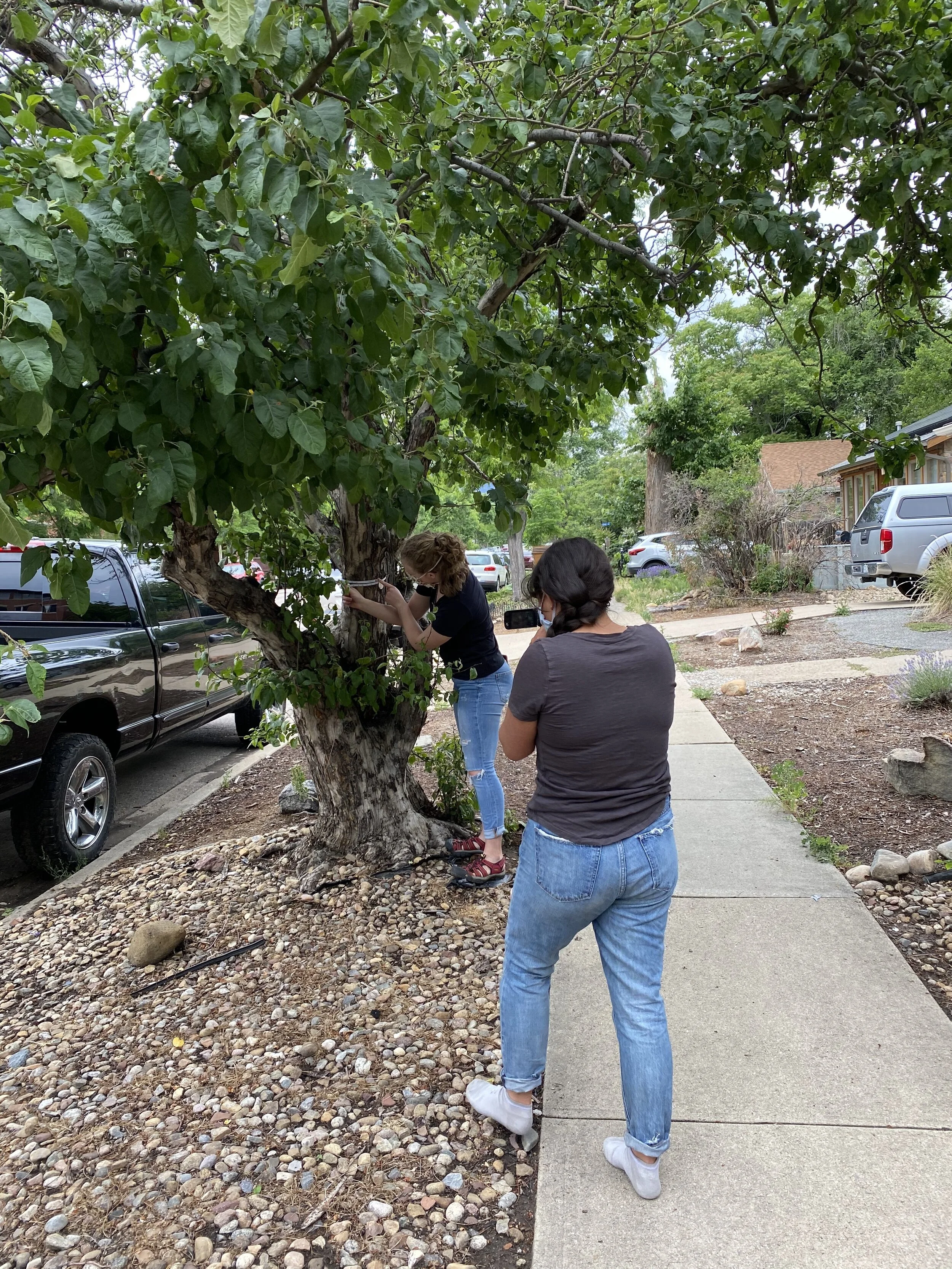 Jennie Pruden History and CAS Guest Speaker