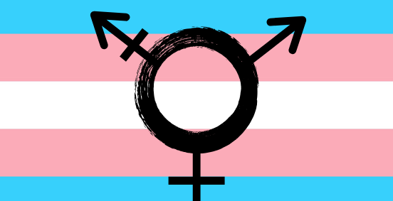 Trans Flag