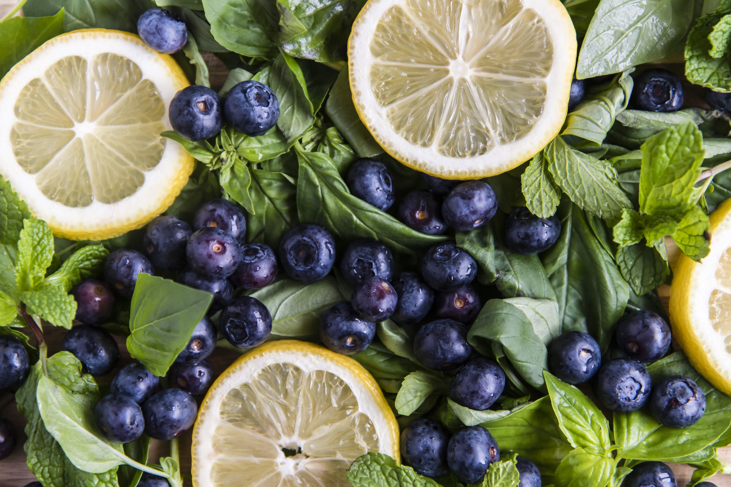 Blueberries41.jpg