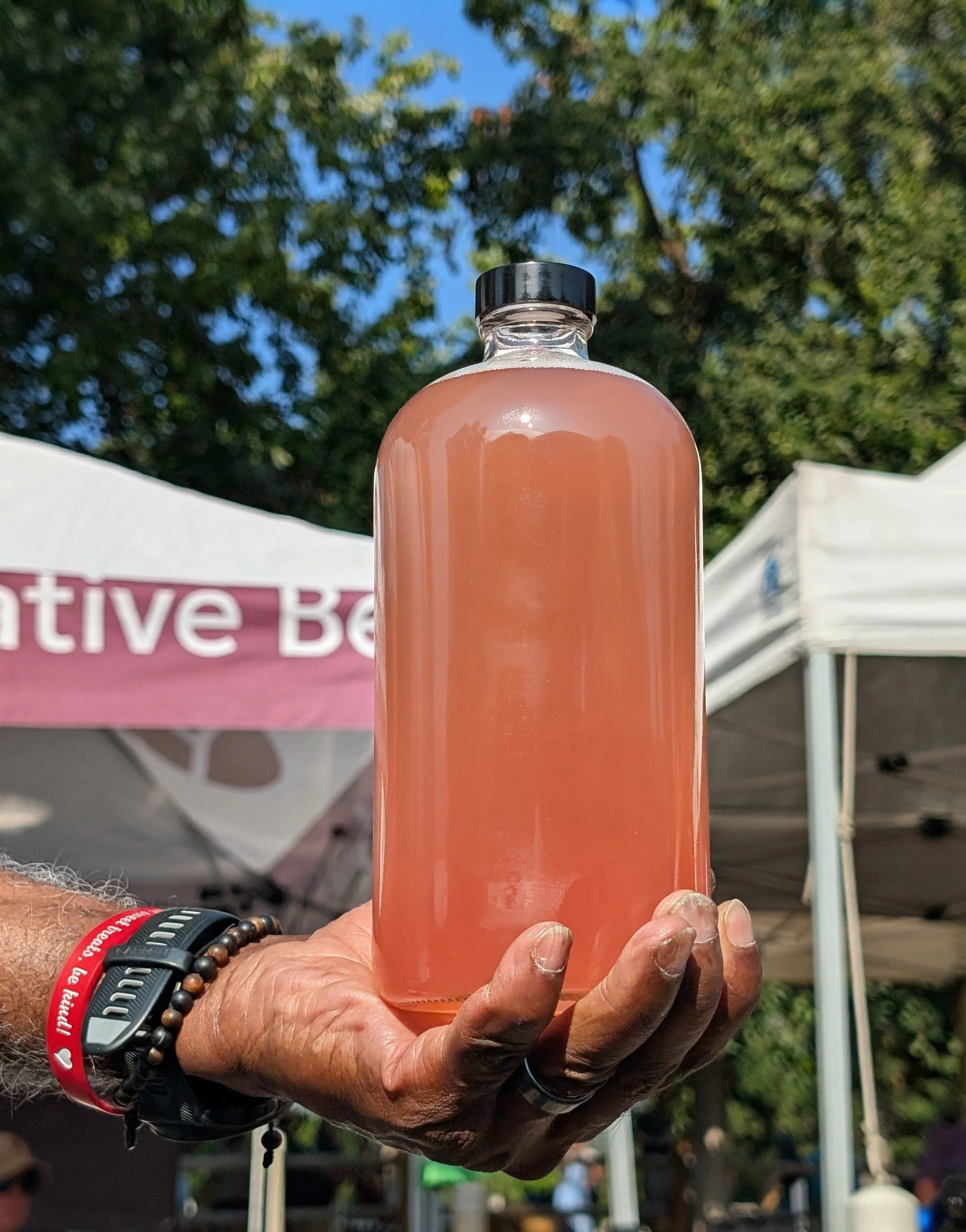 Purple Citrus in a Bottle.jpg