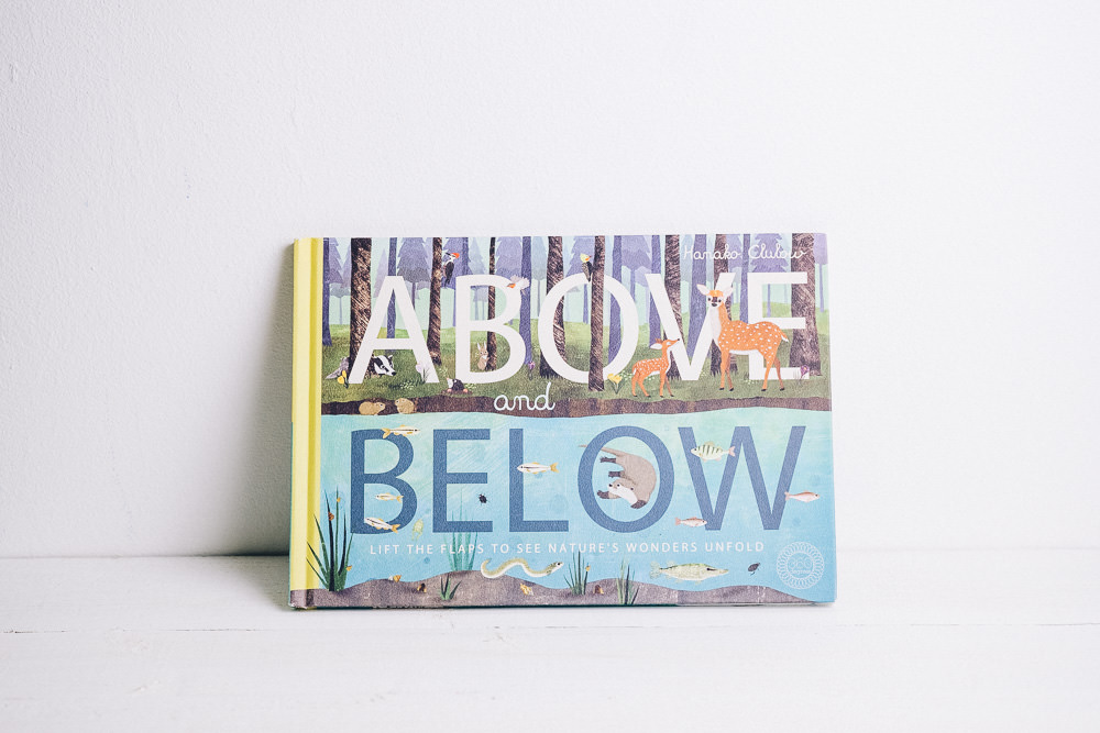 Above and Below Book
