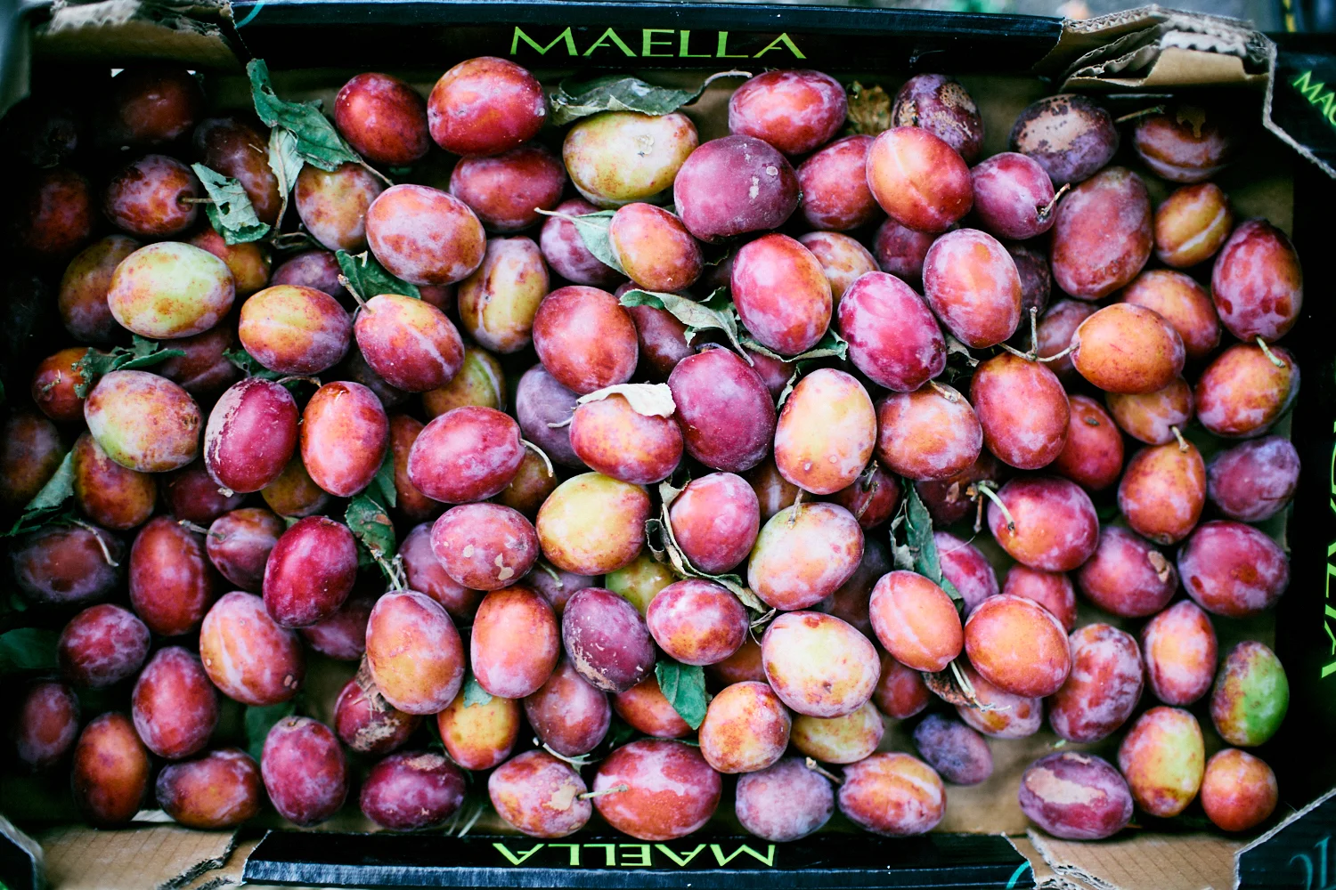 Port_and_plum_chutney-7.jpg