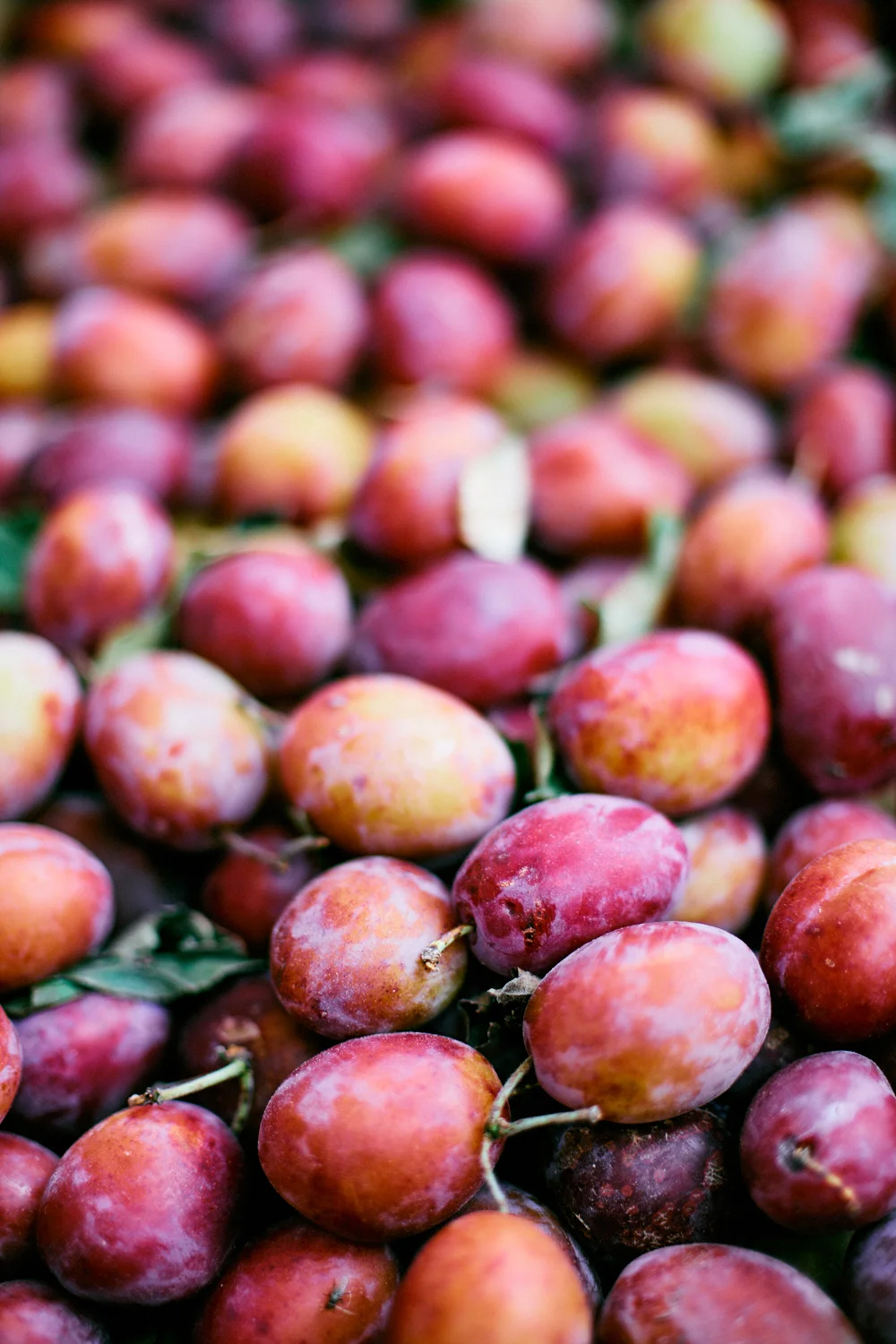 Port_and_plum_chutney-8.jpg