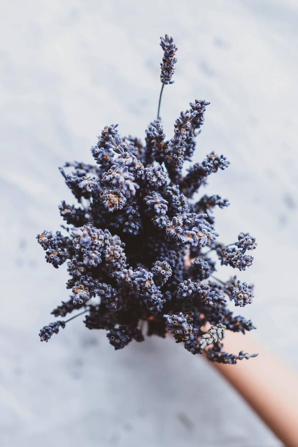 Lavender_bath_melts-17.jpg