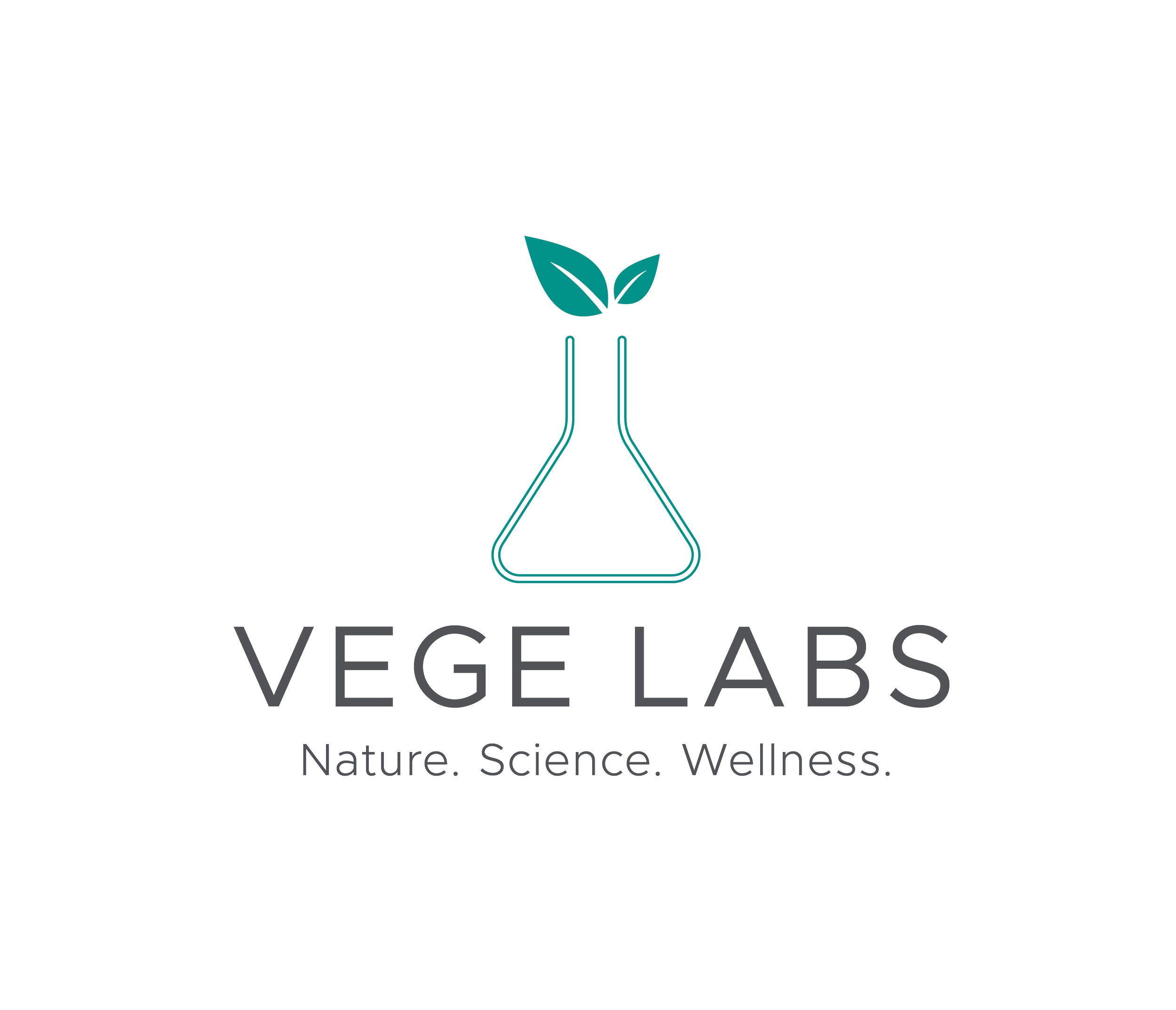 Logo VL2 1650W.png
