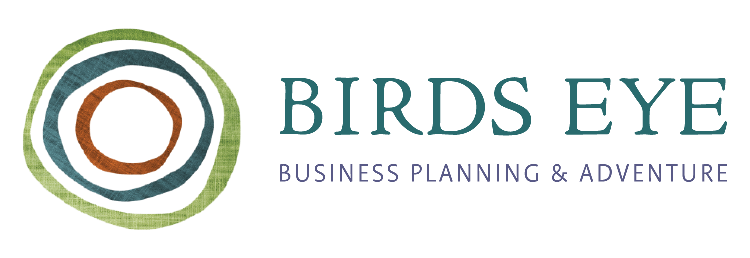 Birds Eye Business Planning &amp; Adventures