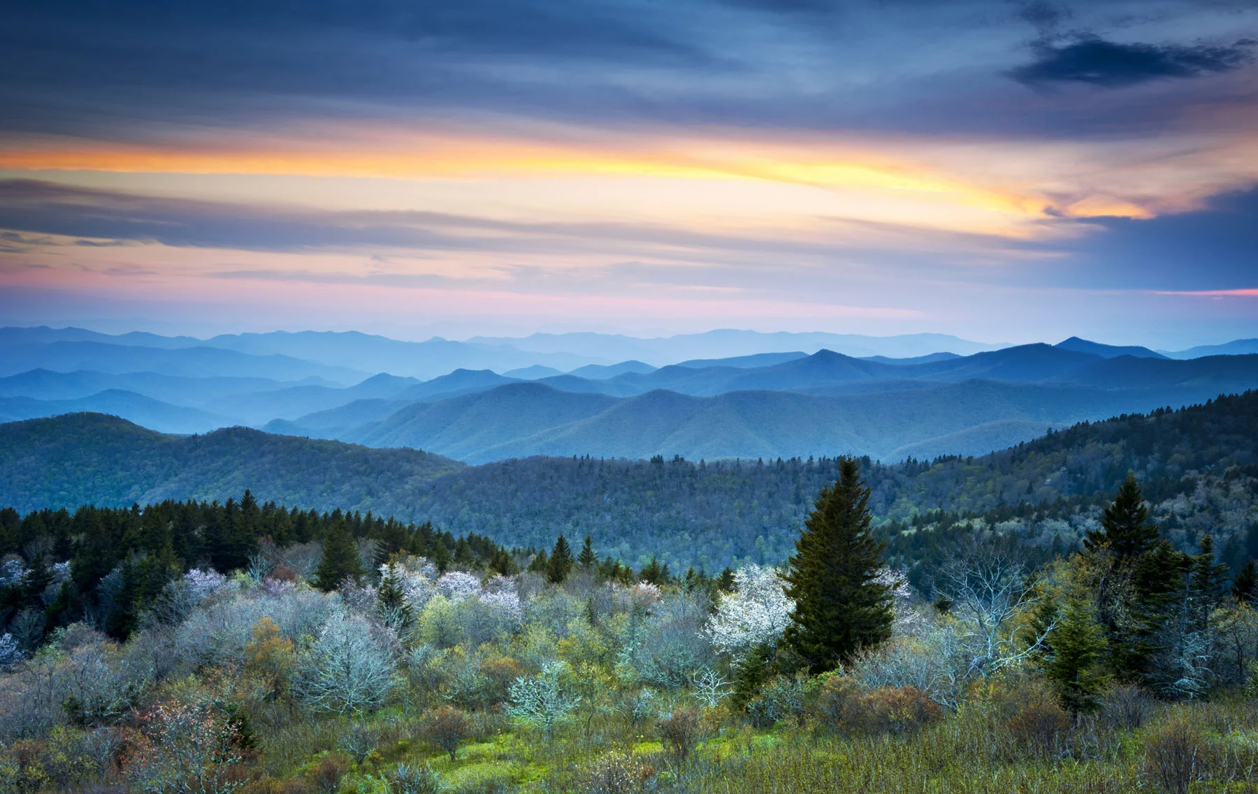 asheville-blog-business.jpg
