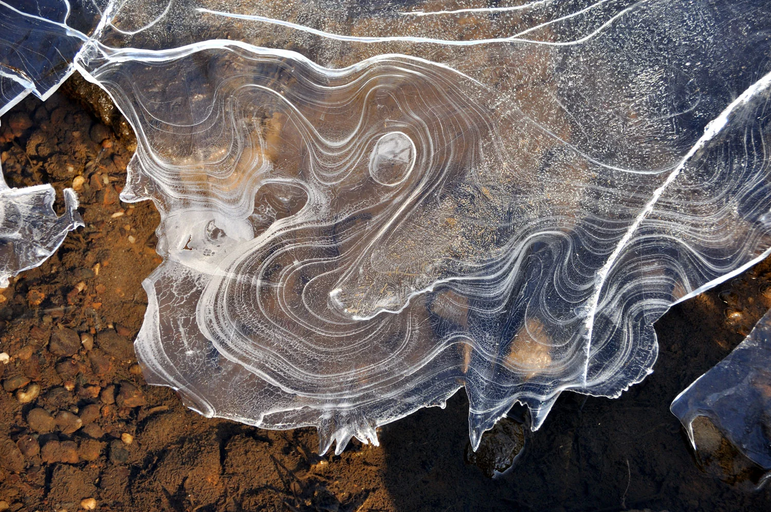 Ice-Formations.jpg