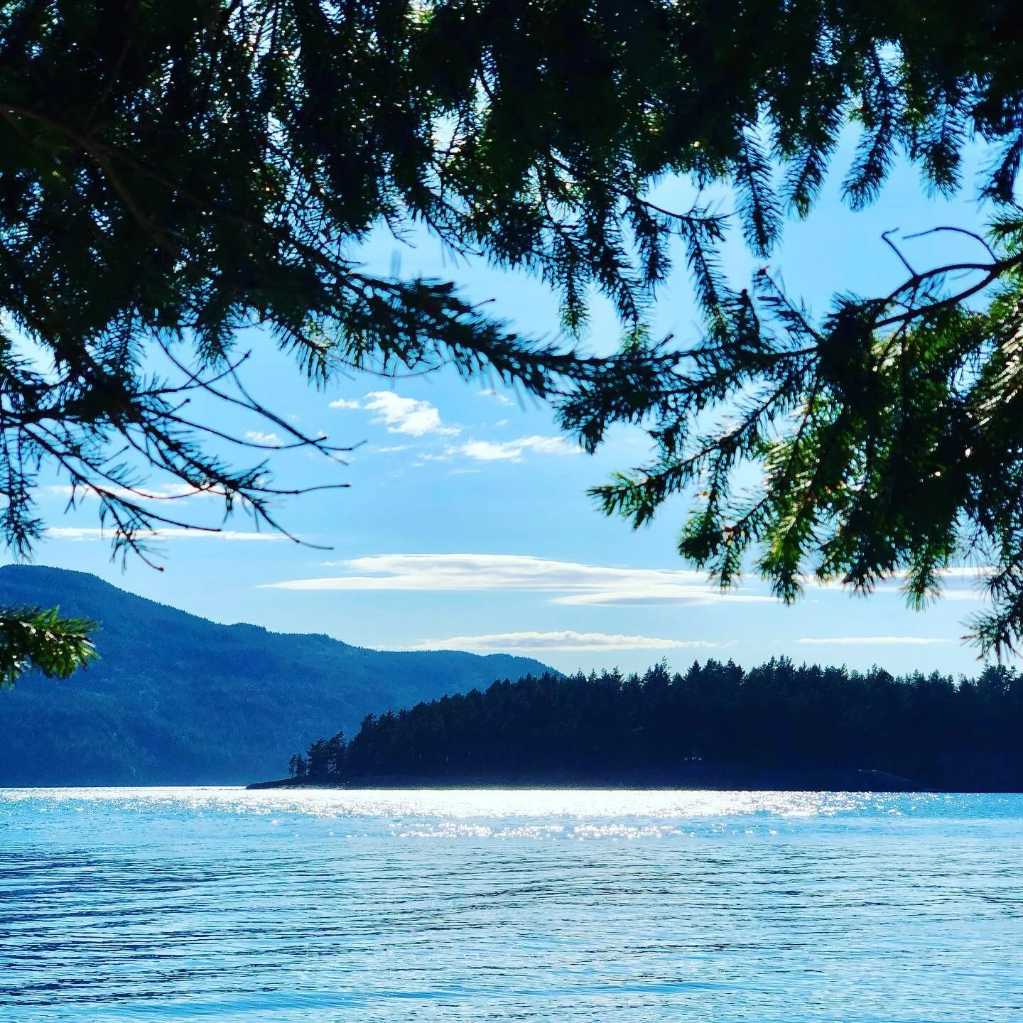 An escape through the blues and greens of Clark Island, Washington.