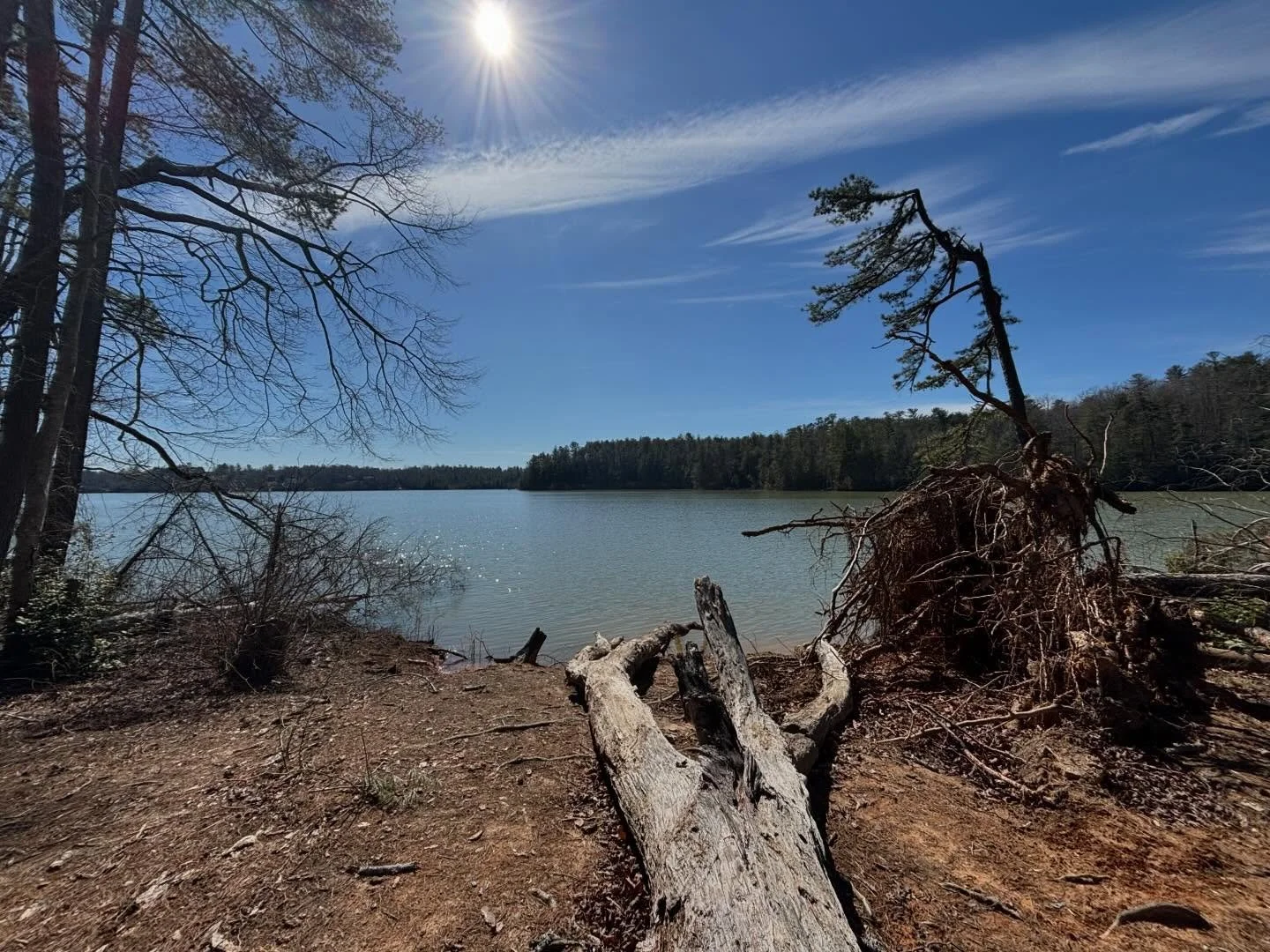 I went seeking a place or three to sit. And watch light and shadows. To study the underside of another upturned root system. Not too far from home and without too much time but far enough to quiet the mind and listen for the voice. Not the breathless