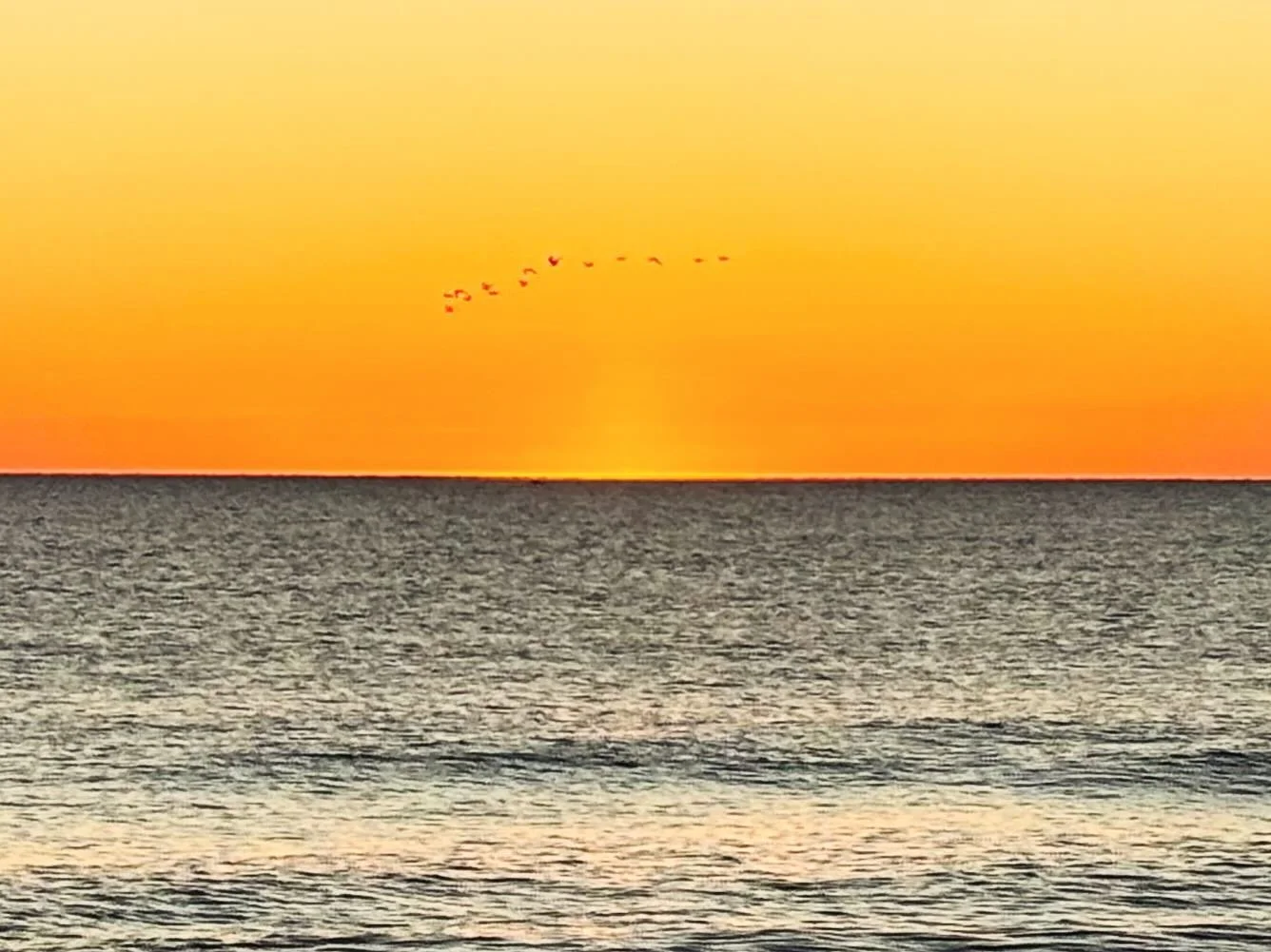 Cheers to the senses of expanse and discovery that ring in with a New Year! Maybe take a moment to envision what you are seeking emerging out on that horizon line. I am stepping into 2025 with immense gratitude for all the wing-spirited sojourners I 