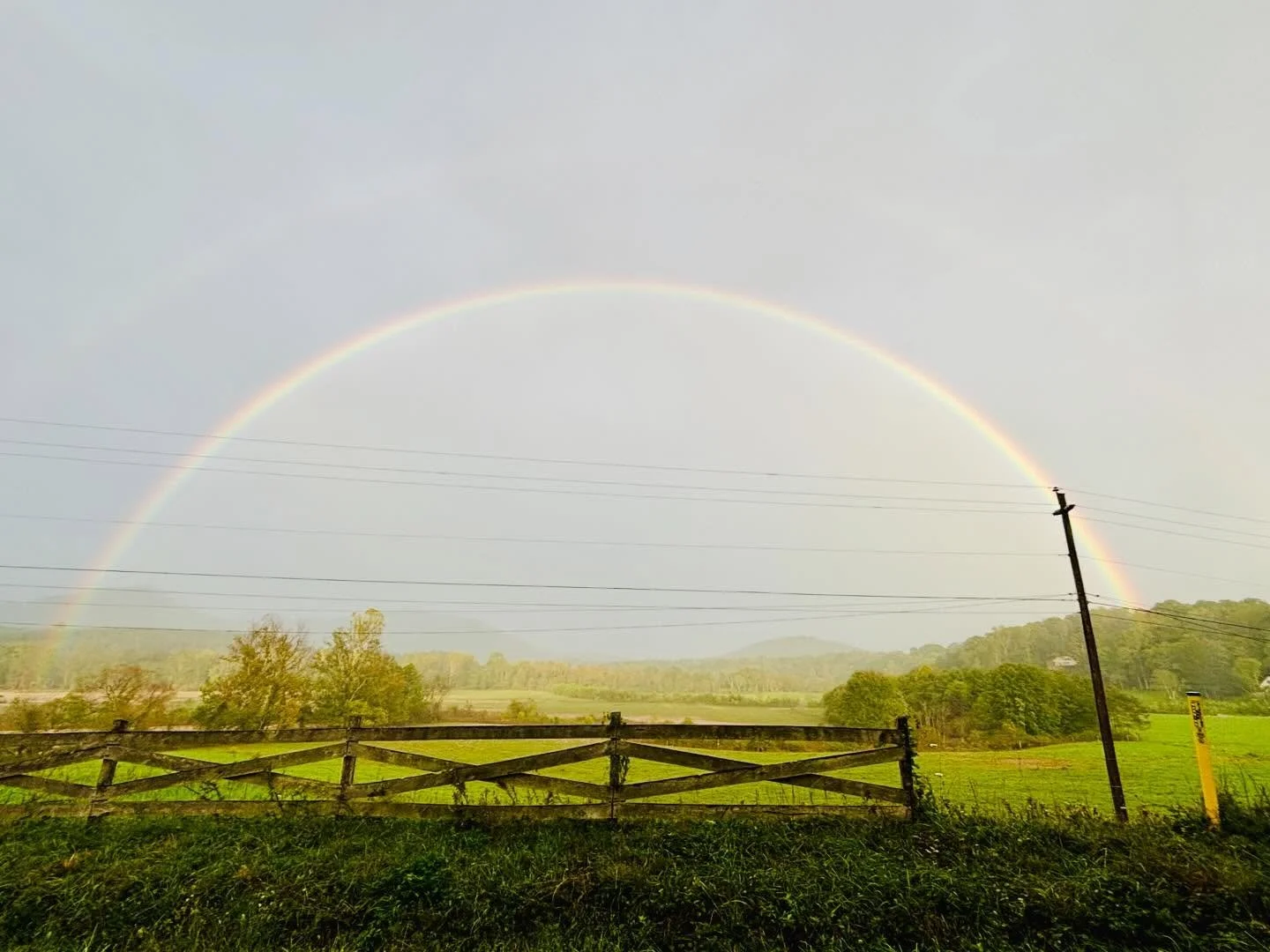My loved ones and I are safe. This rainbow appeared in our beloved Warren Wilson Valley Monday night. I felt myself grapple with such blatant beauty appearing amidst such devastation. But then I pried open the hatch to let it in as a much needed hug.