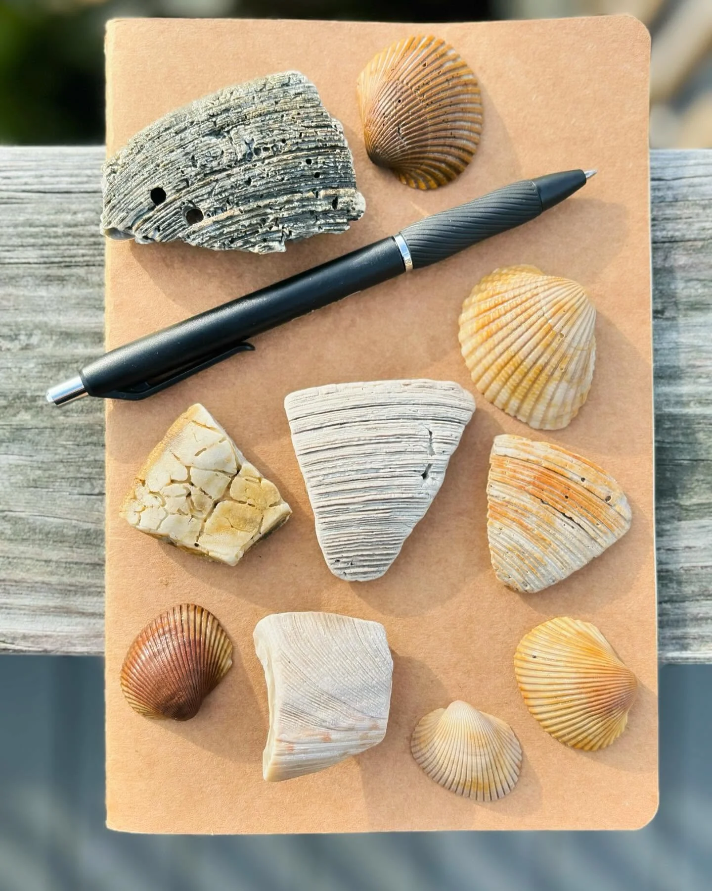 March 2024 Birds Eye Folly Retreat color palette #1 💛  Time, space, and an inspiring place to revel in the details, feel into patterns &amp; grooves, and honor the rich fragments of life experience exchanged along the way. Here&rsquo;s to trusting t