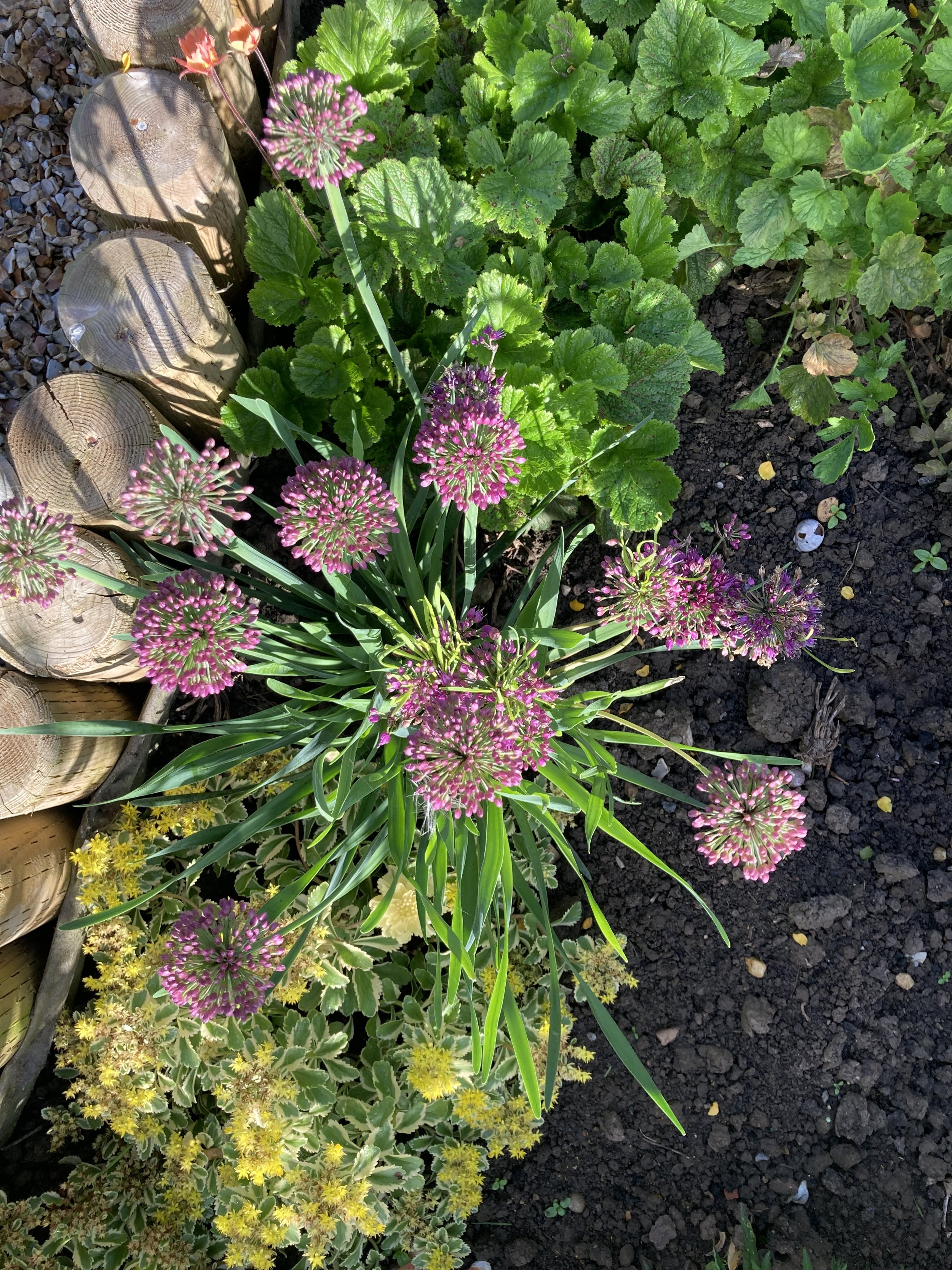 Trends - Indoor, Outdoor And Influences