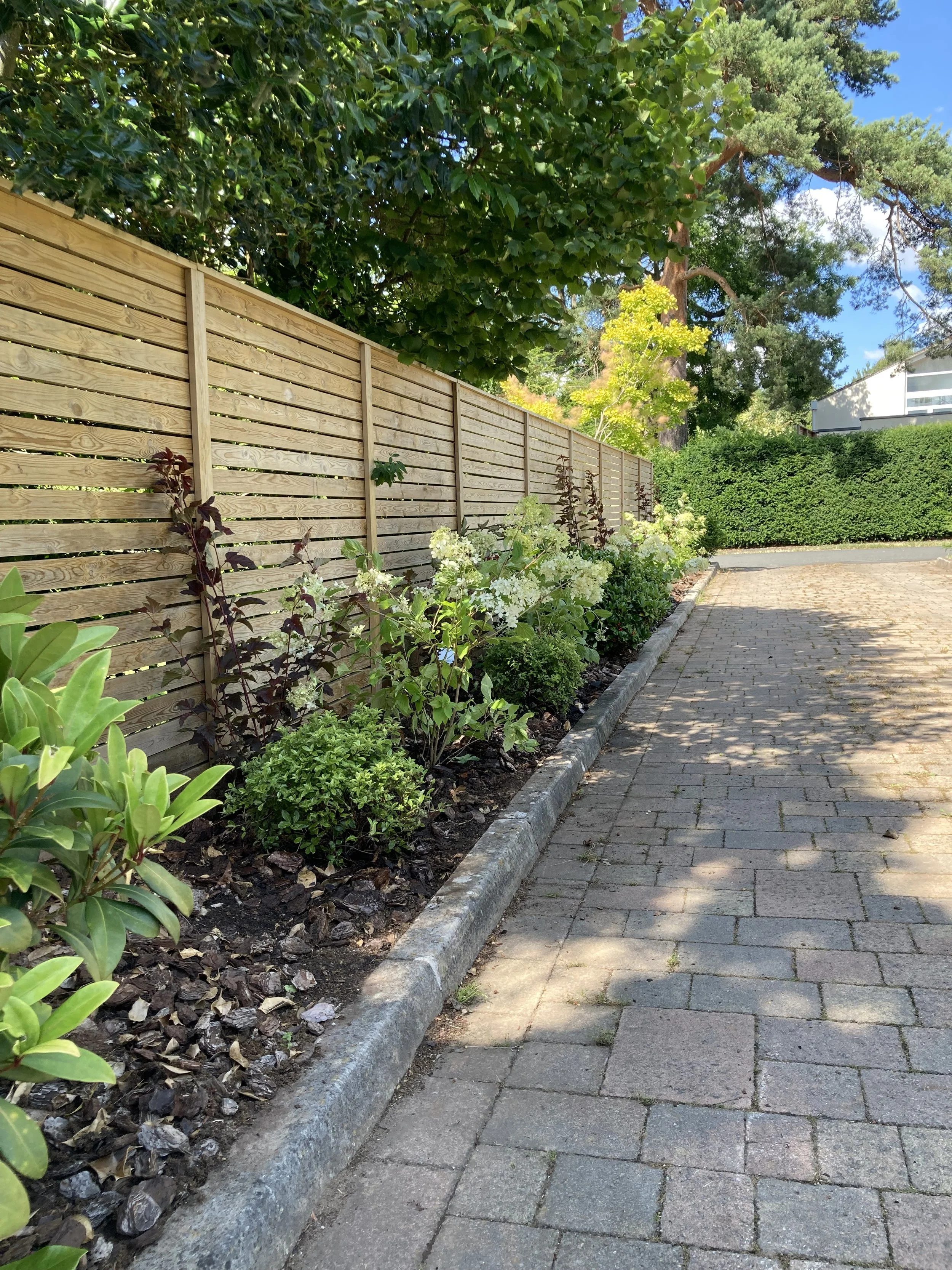 Gardening With Climate Change In Mind