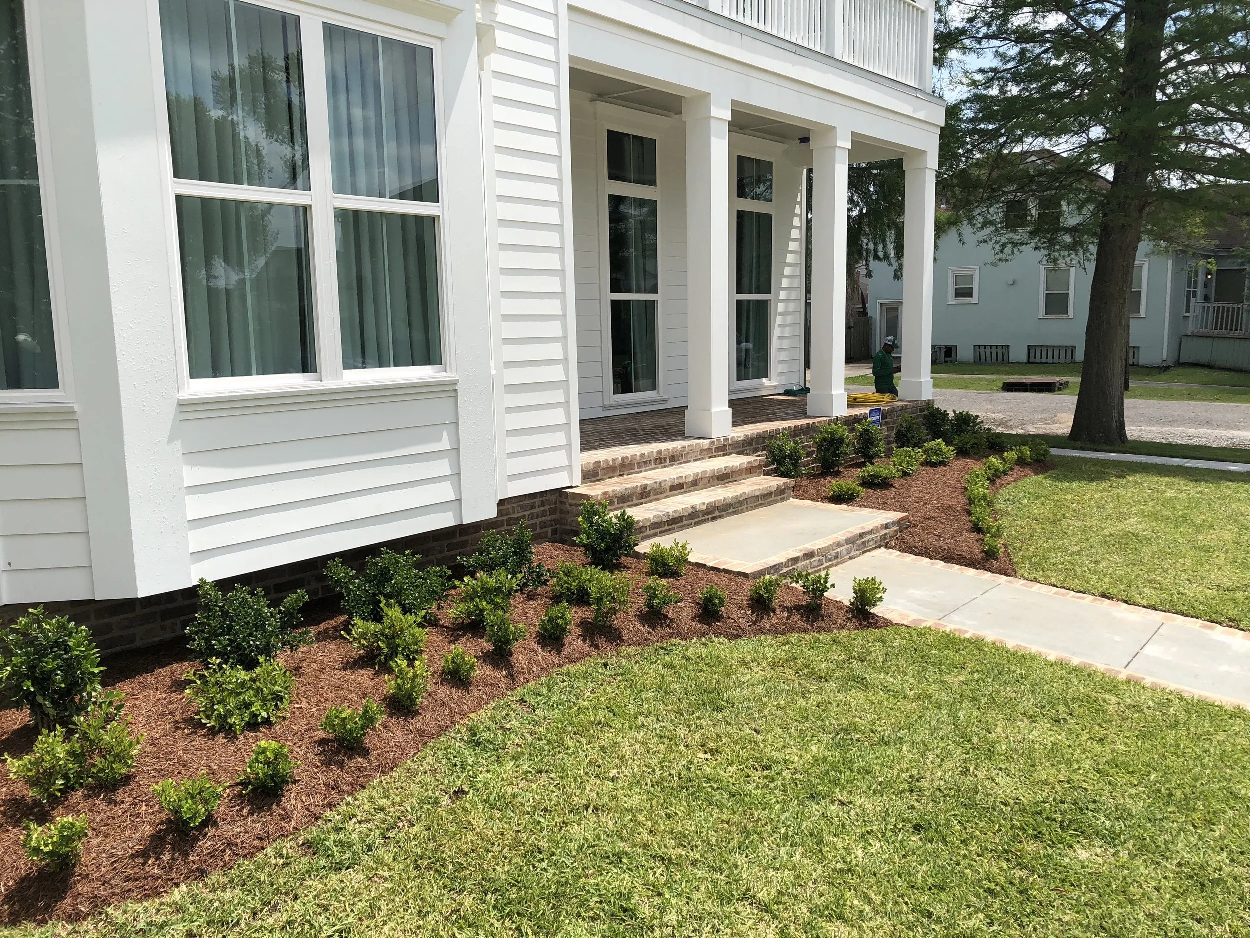 New garden bed with plants and pine straw