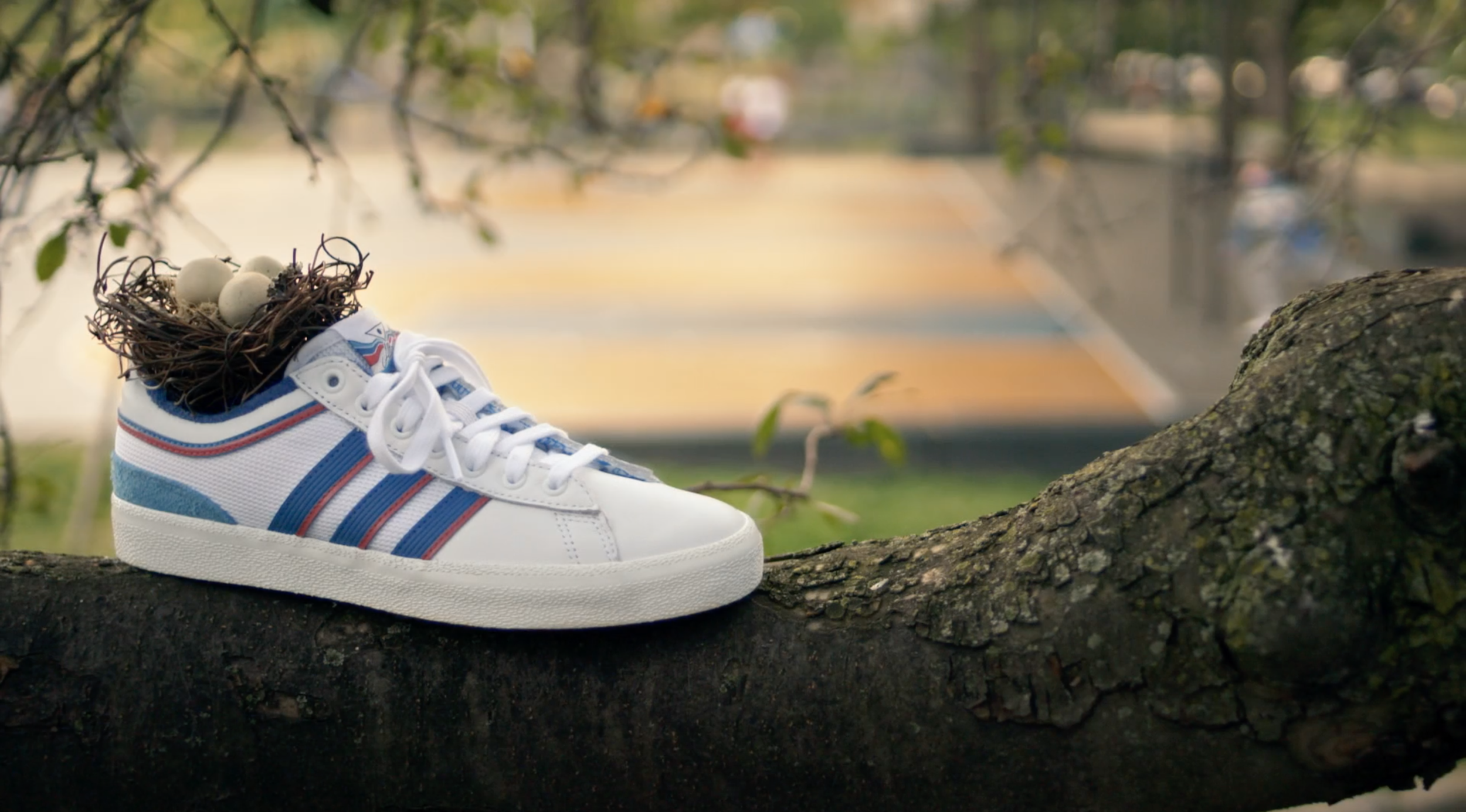 Adidas & Alltimers - Perfect for Everything