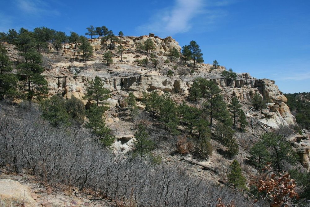 palmer park colorado springs hiking trails