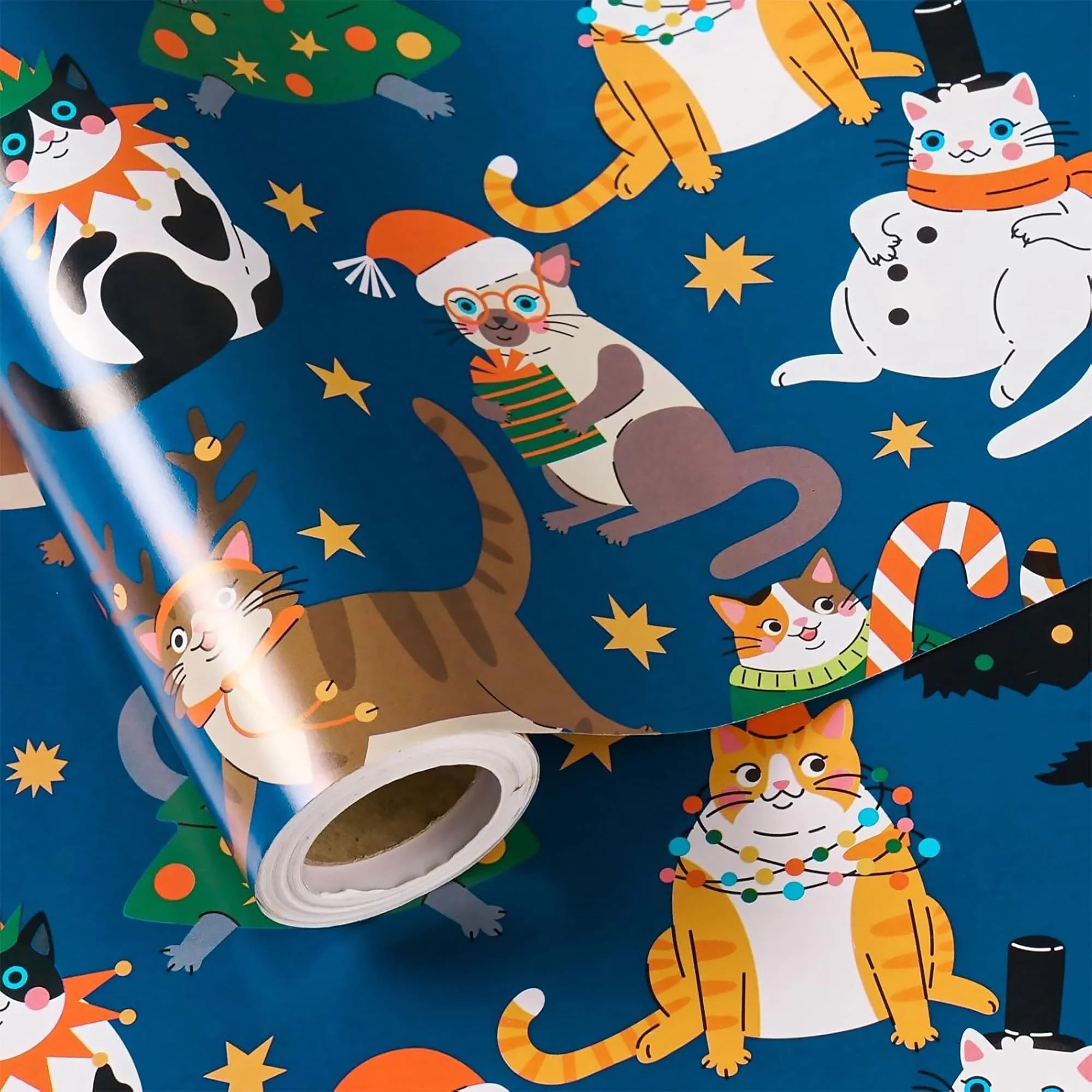 xmas_cat_wrap.jpg