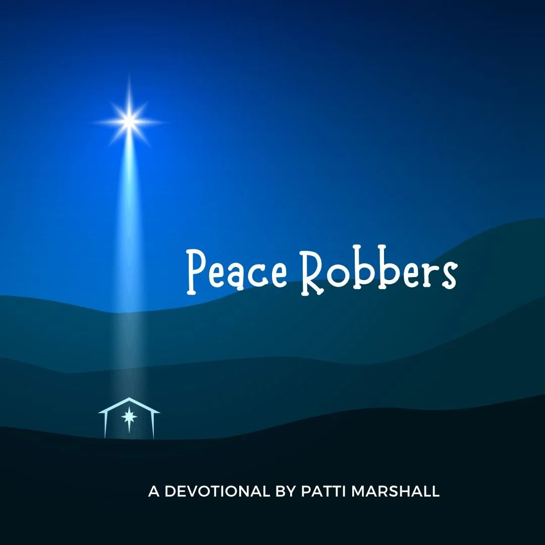 Peace Robbers