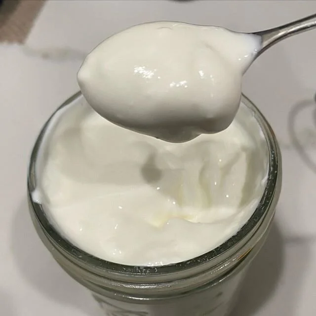 homemade yogurt