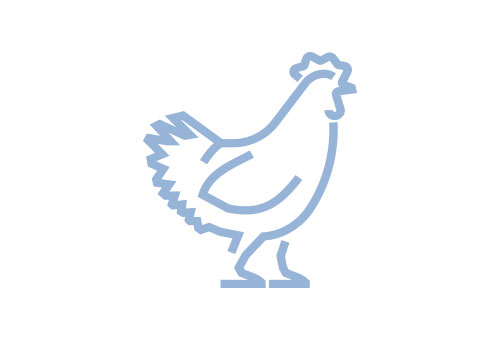 MertonFeed_Icons_Chicken.jpg