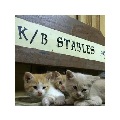 K/B Stables