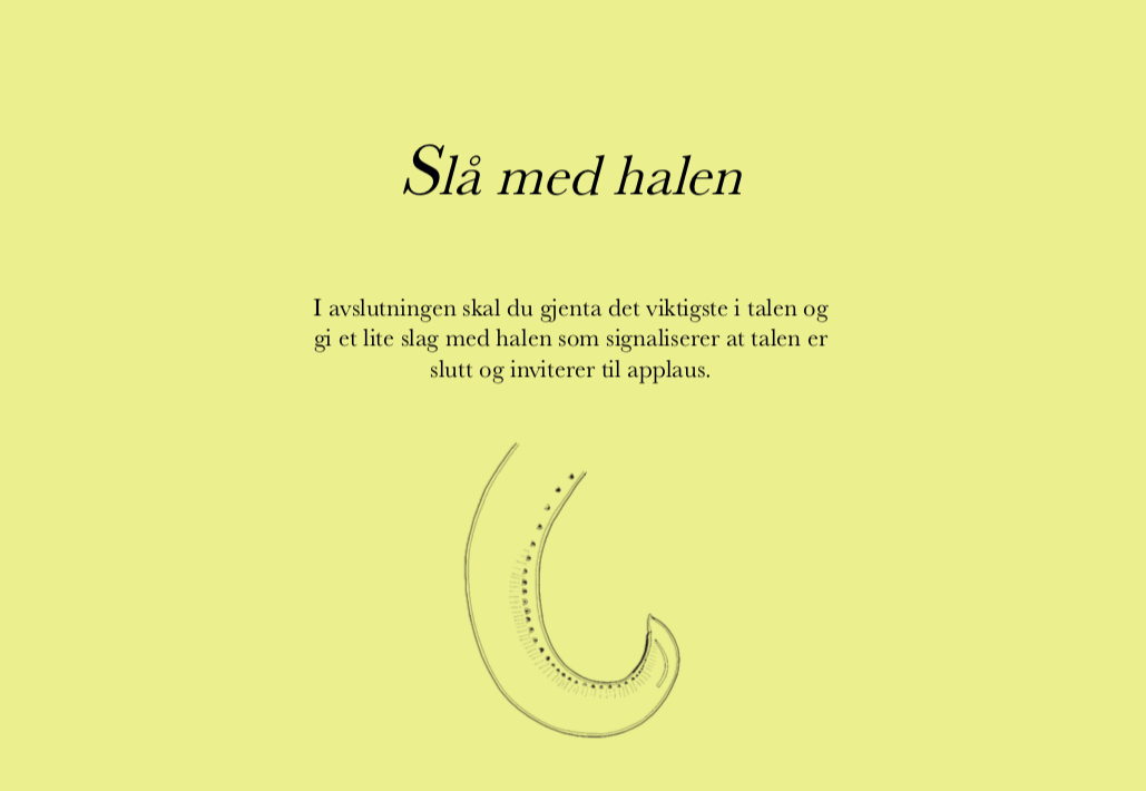 Skap en kort formulering (en til to setninger) som inneholder en språklig ”twist”, en liten provokasjon eller en overraskelse.