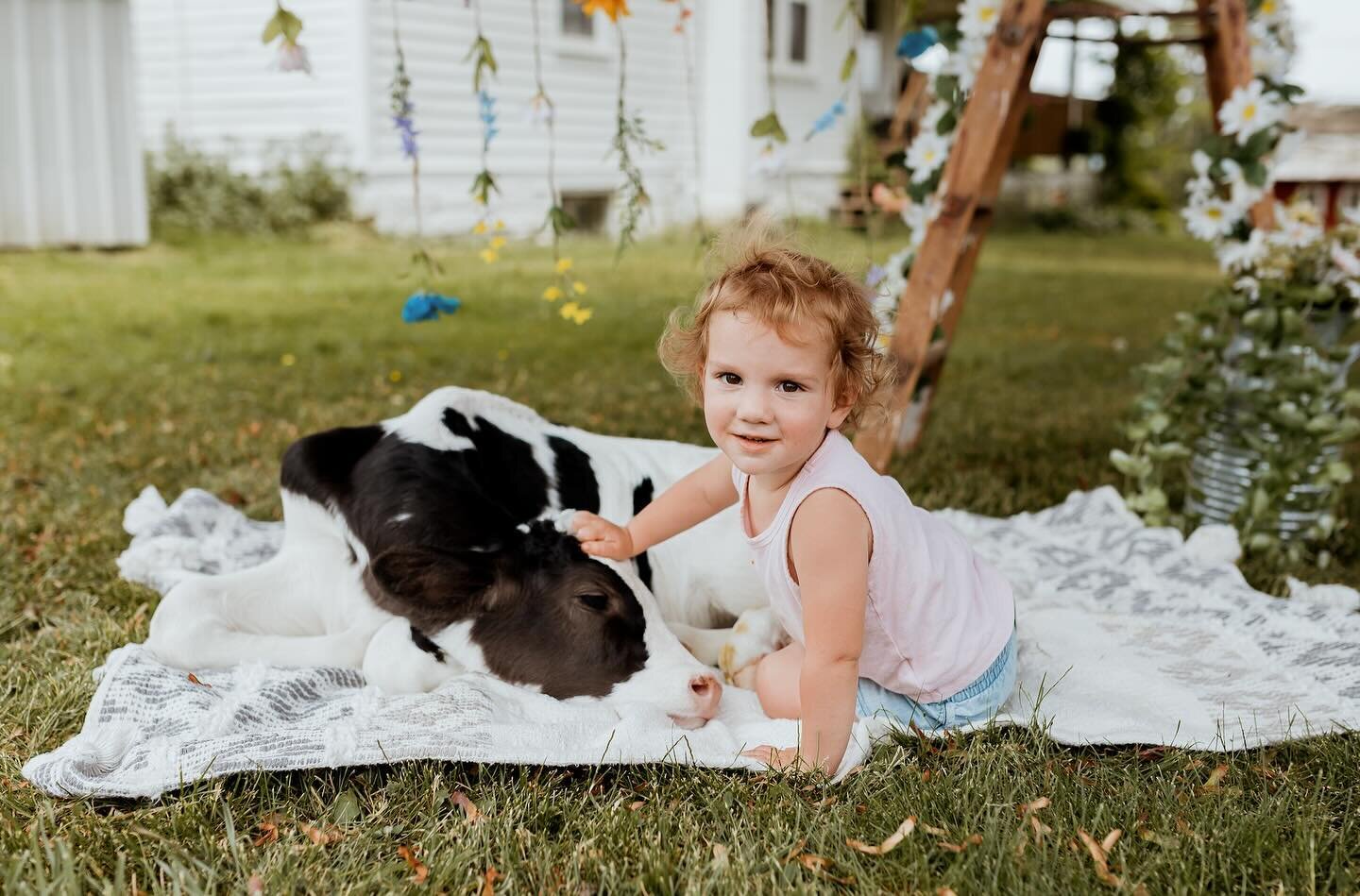 🌷🐮 Spring Calf Mini photo sessions🐮🌷

@freerangephotography__  will be back here at the farm on April 14th for another round! 12-4pm! 
 
This is one of our most popular events and always books out fast so if you&rsquo;re interested, don&rsquo;t w