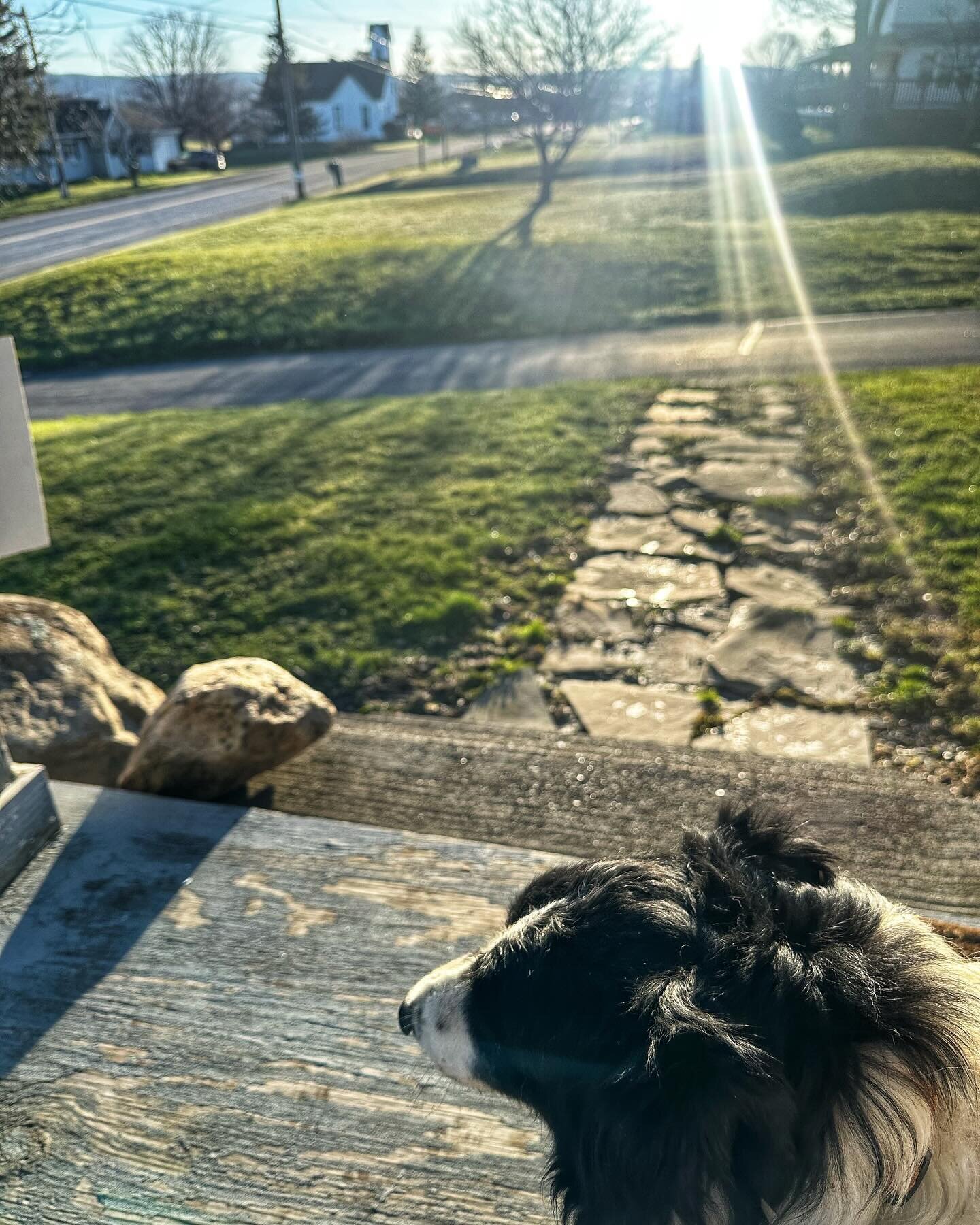 First coffee on the porch of 2024.  A pivotal moment in the transition to Spring here on the farm. ❤️☕️🐕