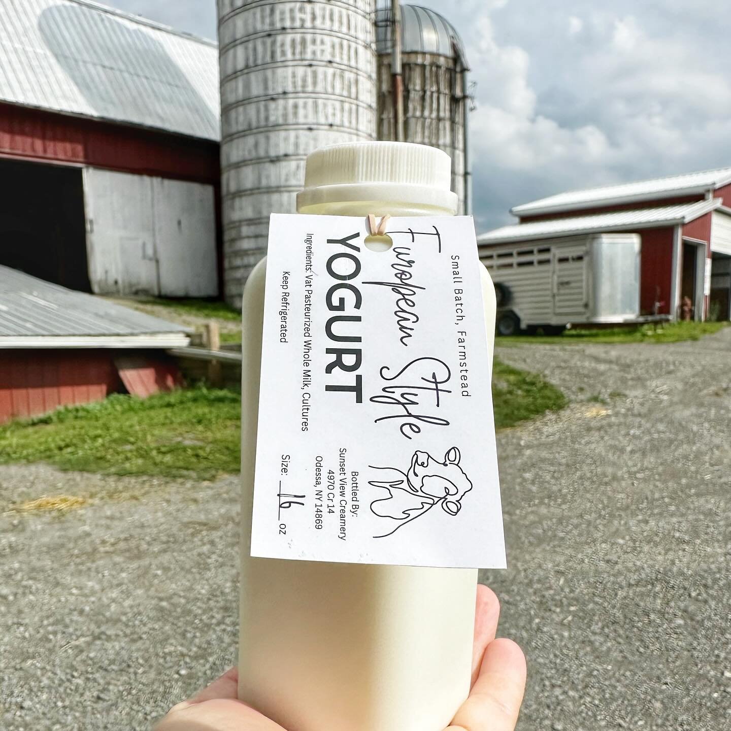 YOGURT is restocked at the farm store!  Thanks for your patience in waiting for this batch.  Dairy discovery camp put me a little behind this week! ❤️