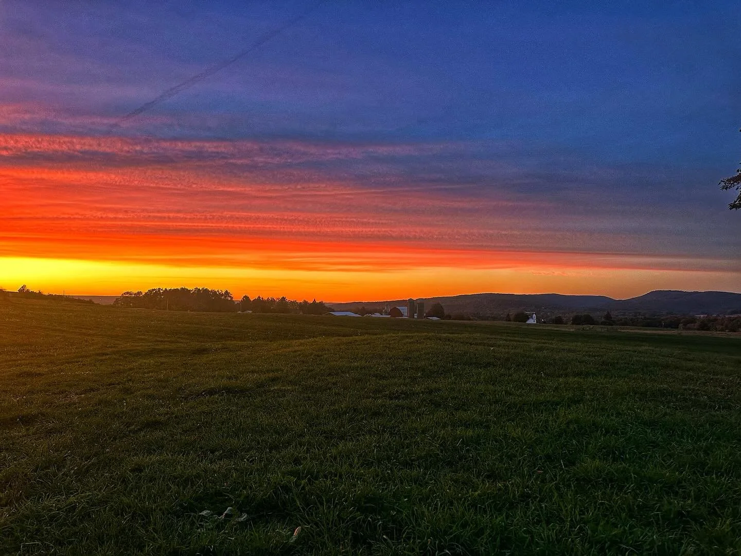 Had a customer stop by today and she said, &ldquo;With a name like Sunset View Creamery, I bet the sunsets here are gorgeous.&rdquo; And honestly, she&rsquo;s not wrong. Tonight&rsquo;s sunset over the farm was unreal. ✨

It&rsquo;s moments like thes