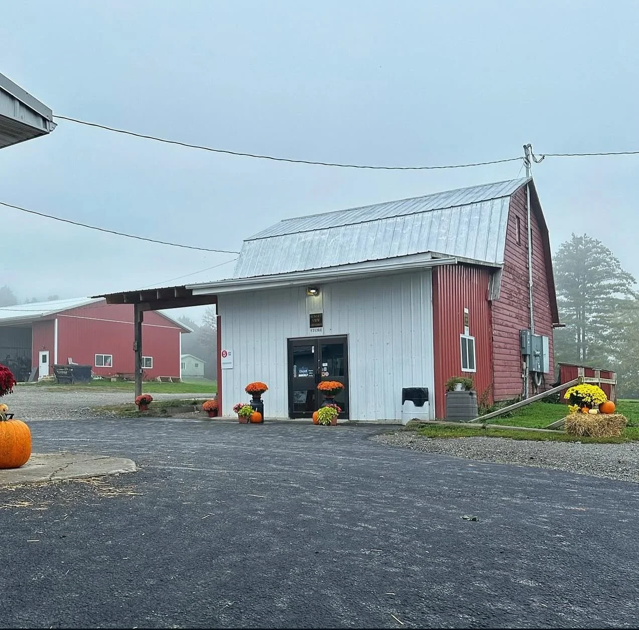 It&rsquo;s Open Farm Weekend here in Schuyler County, and we&rsquo;re excited to be one of the featured stops!

We&rsquo;ve got openings for cow cuddling (yes, it&rsquo;s as relaxing as it sounds) or our hands-on milking experience.  We have FREE sel