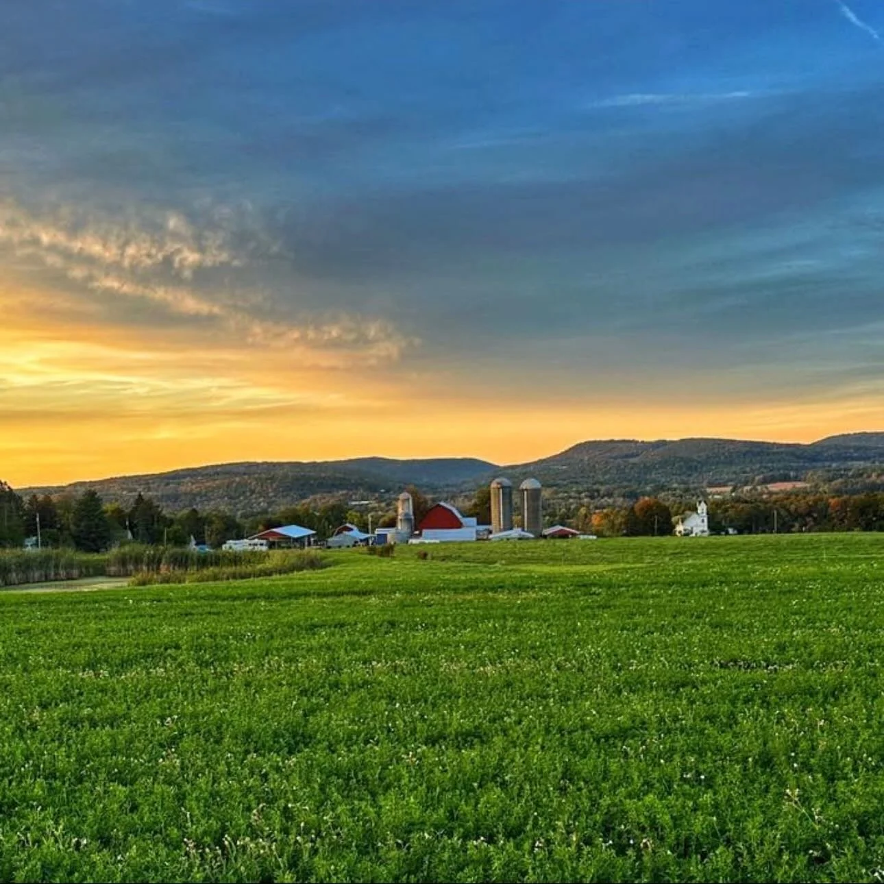 National Ag Day&hellip; and around here it starts like any other.

Lights on in the barn, cows lined up waiting, and that steady rhythm you fall into without really thinking about it. One thing leads to the next. Milking, feeding, checking calves&hel