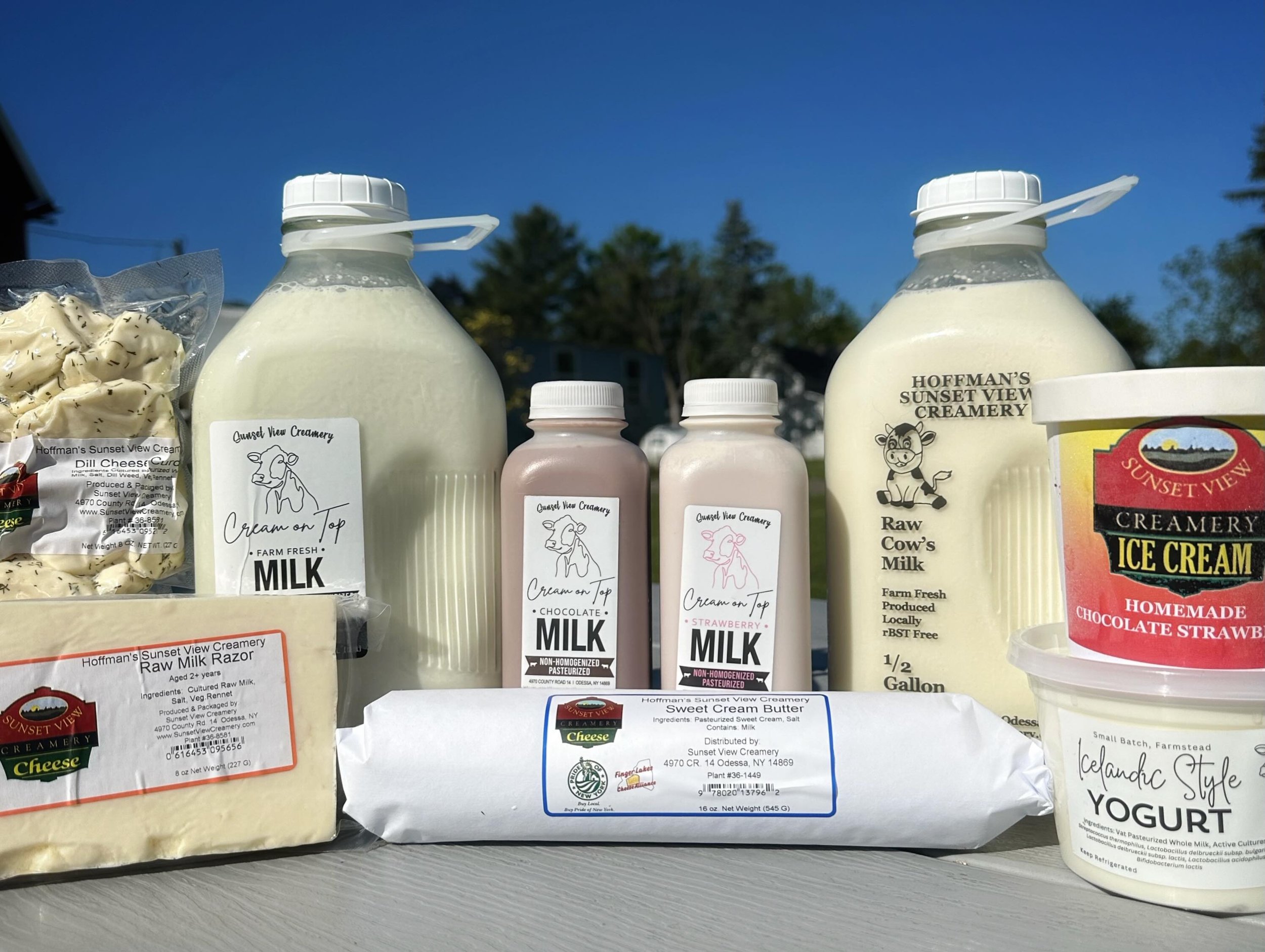 Happy World Milk Day! 🥛

Milk is pretty incredible when you stop and think about it. From the bulk tank to the bottle, made into yogurt, turned into squeaky cheese curds, or becoming a wheel of cheddar that&rsquo;s going to sit and age for years, it