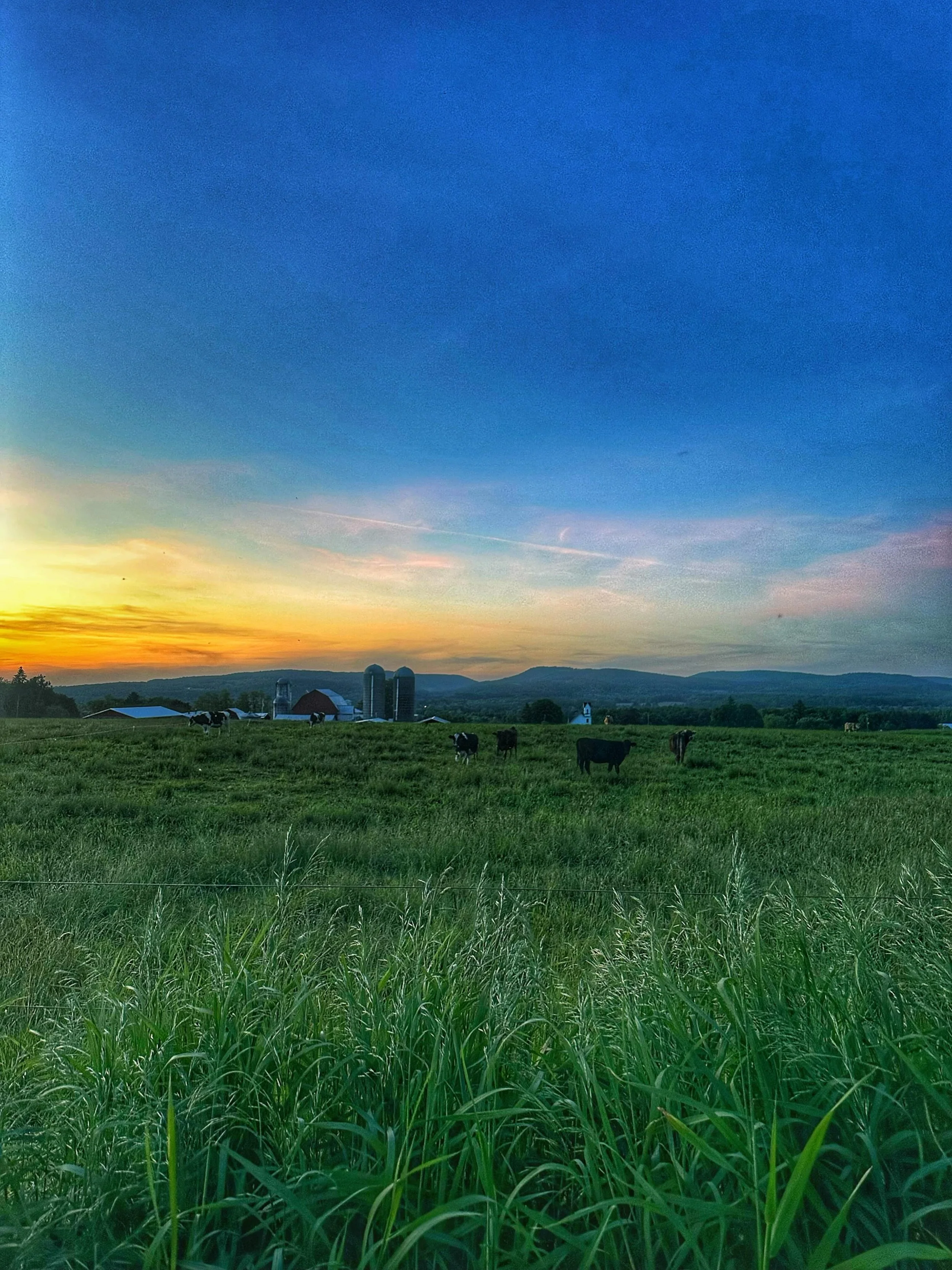 There&rsquo;s just something about these June sunsets that never gets old.

Making one last round through the dry cows before calling it a night. It looks like we should have at least one, maybe even two, calves by tomorrow.

The June babies are star