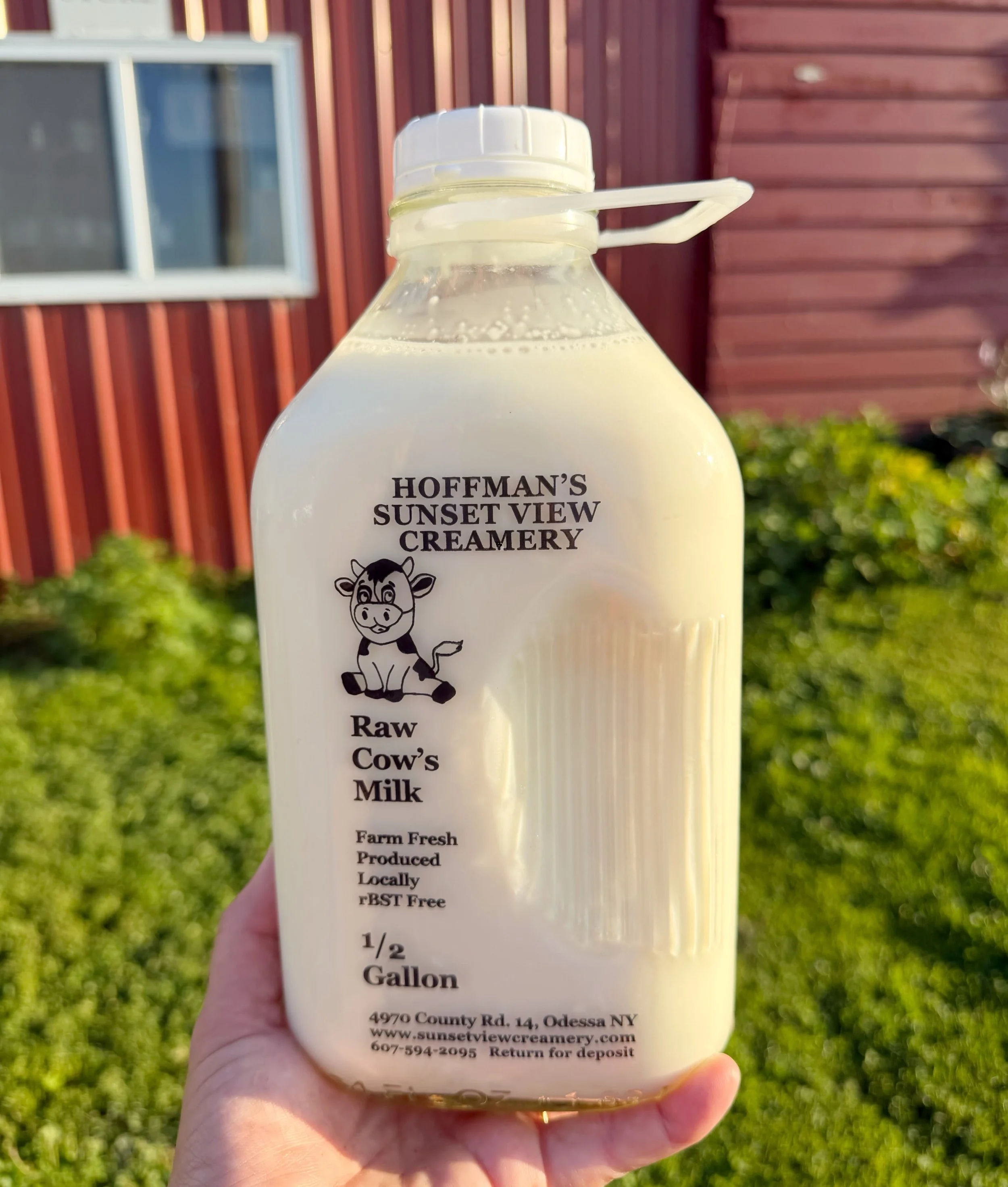 I don&rsquo;t cry over spilled milk, but dang&hellip; it sure is a pain to clean up.🥛

A little heads up about our glass milk jugs! We&rsquo;ve been having some trouble with the white handles breaking. I&rsquo;m not sure if it&rsquo;s something with
