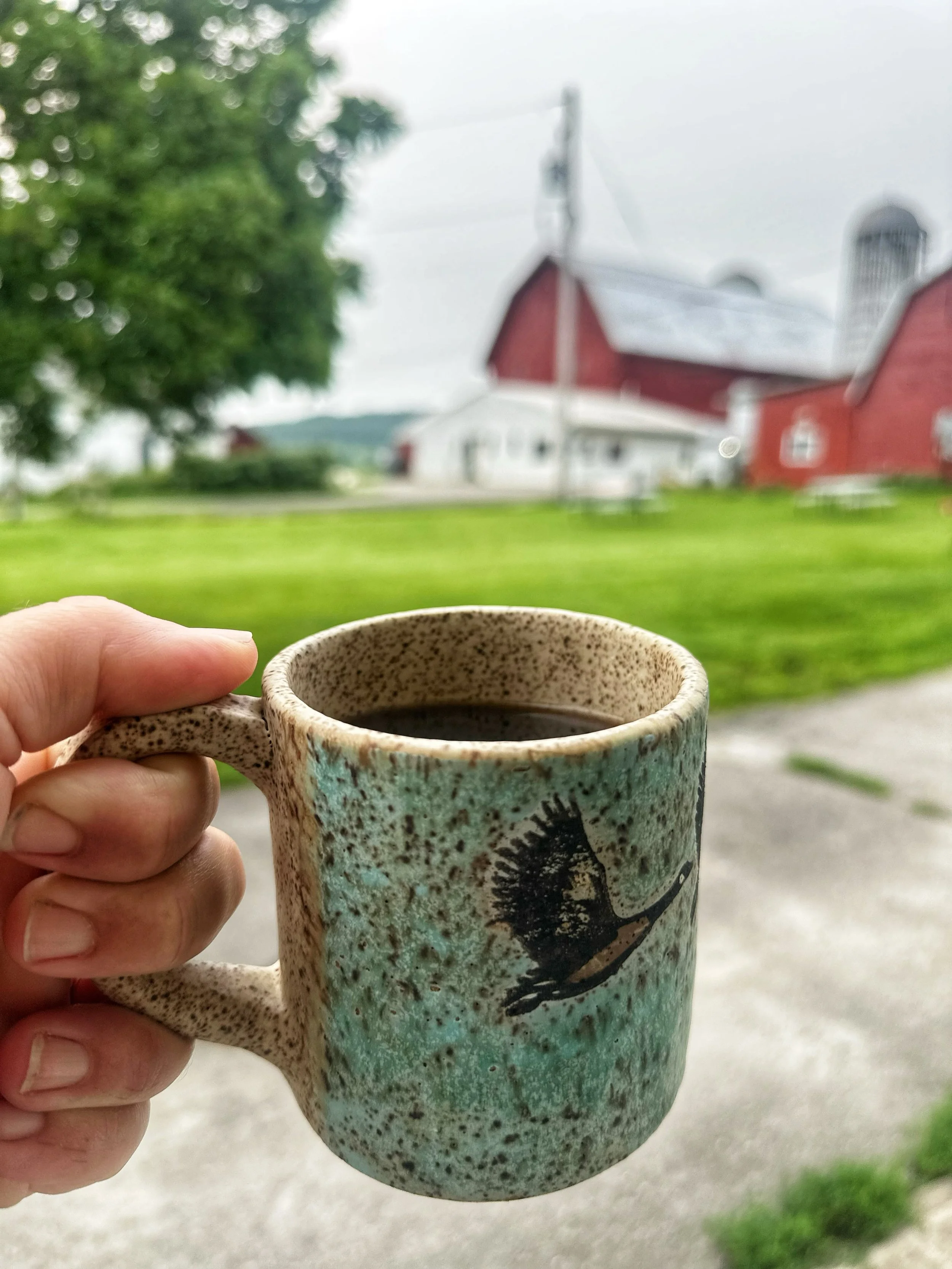 Well , I&rsquo;ve really slowed down on here lately&hellip; I figured maybe it was time for a little life update.

Our Dairy Discovery Camp starts today. My favorite week of the year!  I&rsquo;m excited to welcome 15 campers to experience life on the