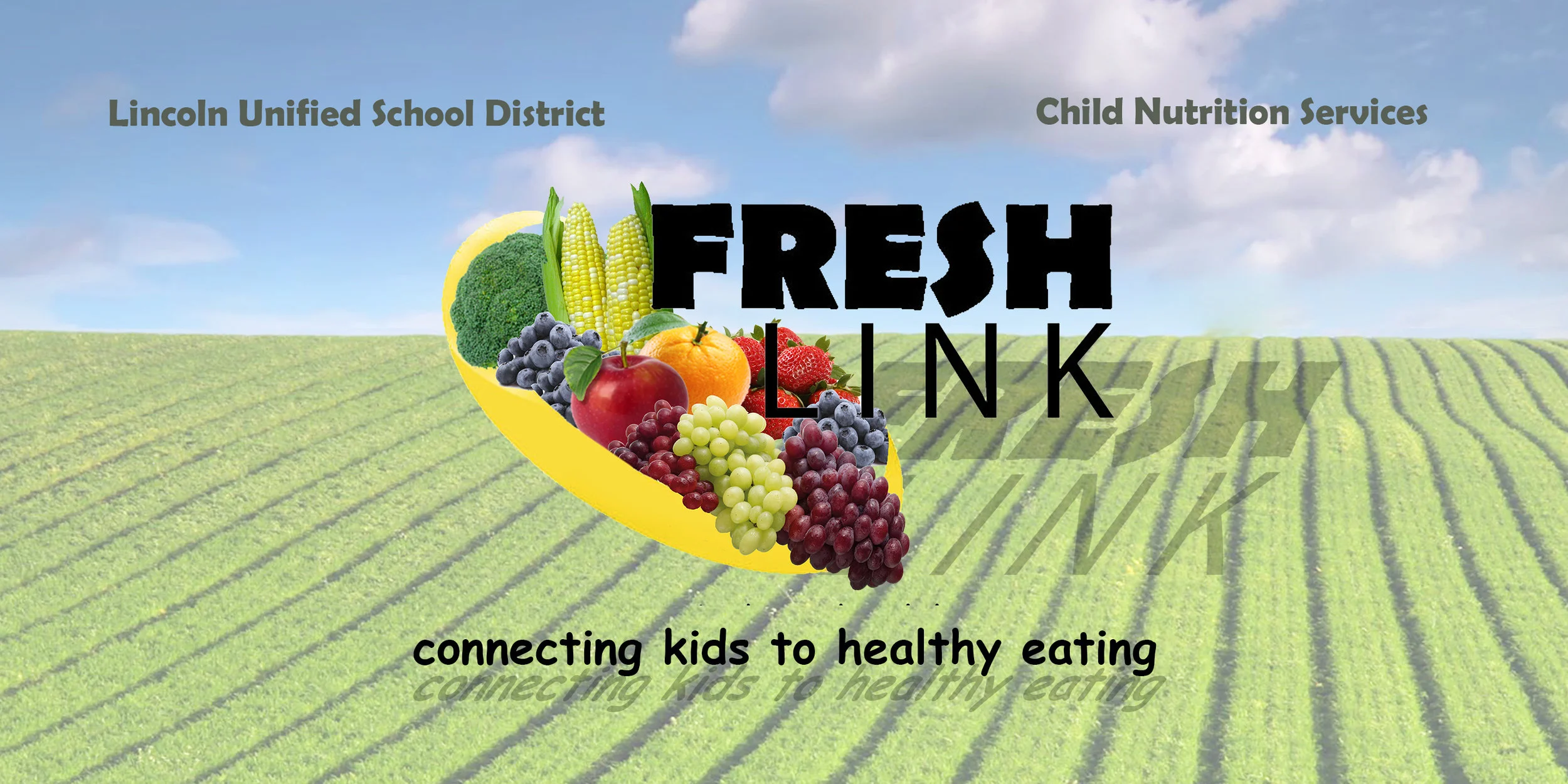 Fresh Link Field.jpg