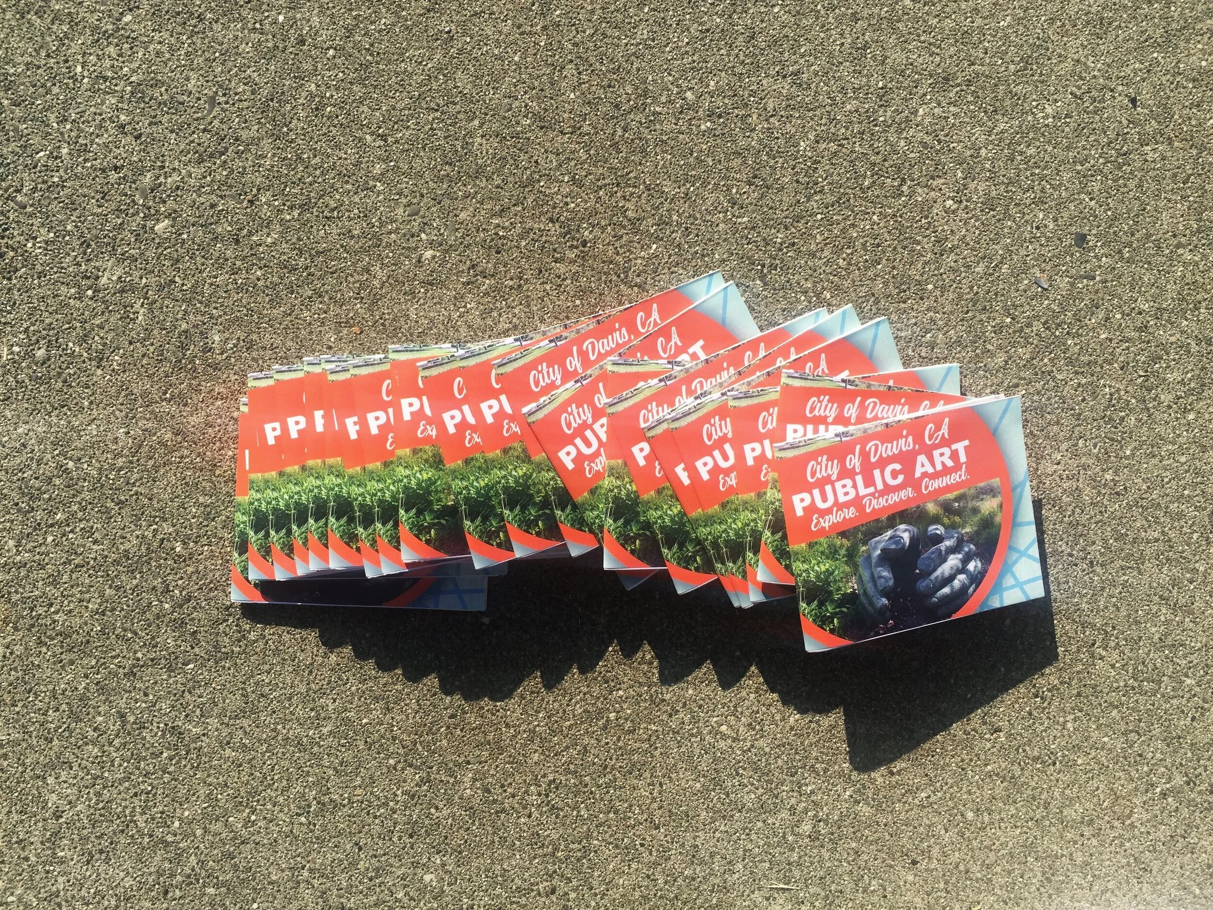    The City of Davis Arts &amp; Culture Program, Davis, CA 2017–2019   The City of Davis Arts &amp; Cultural Affairs Program supports community-based arts projects, cultural opportunities, and education initiatives that foster excellence, diversity, 