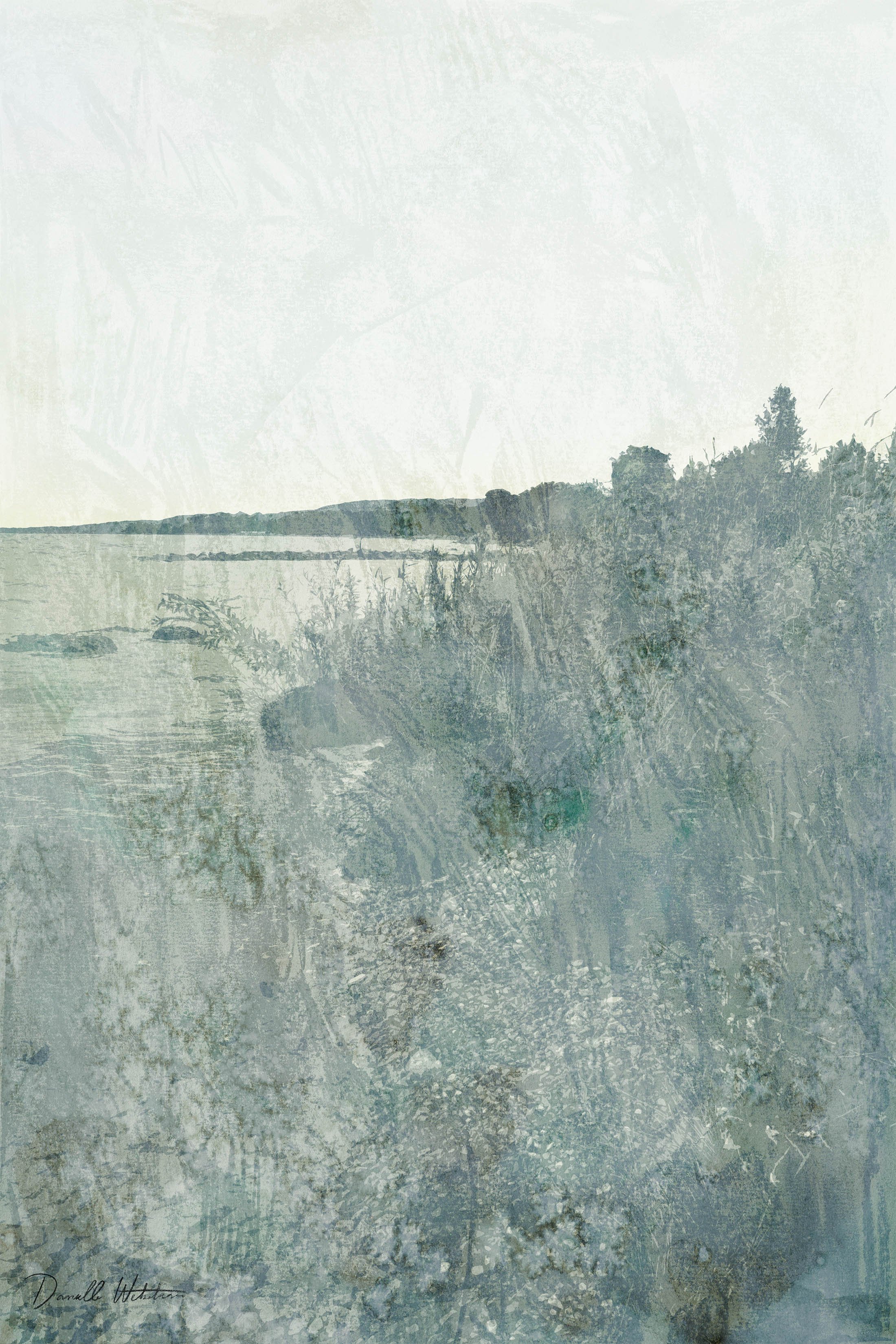 Evening Shoreline