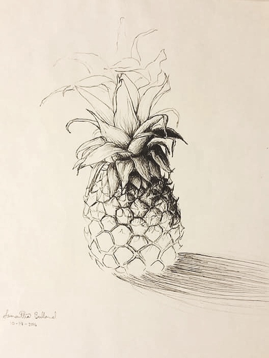 "Study of a Pineapple"