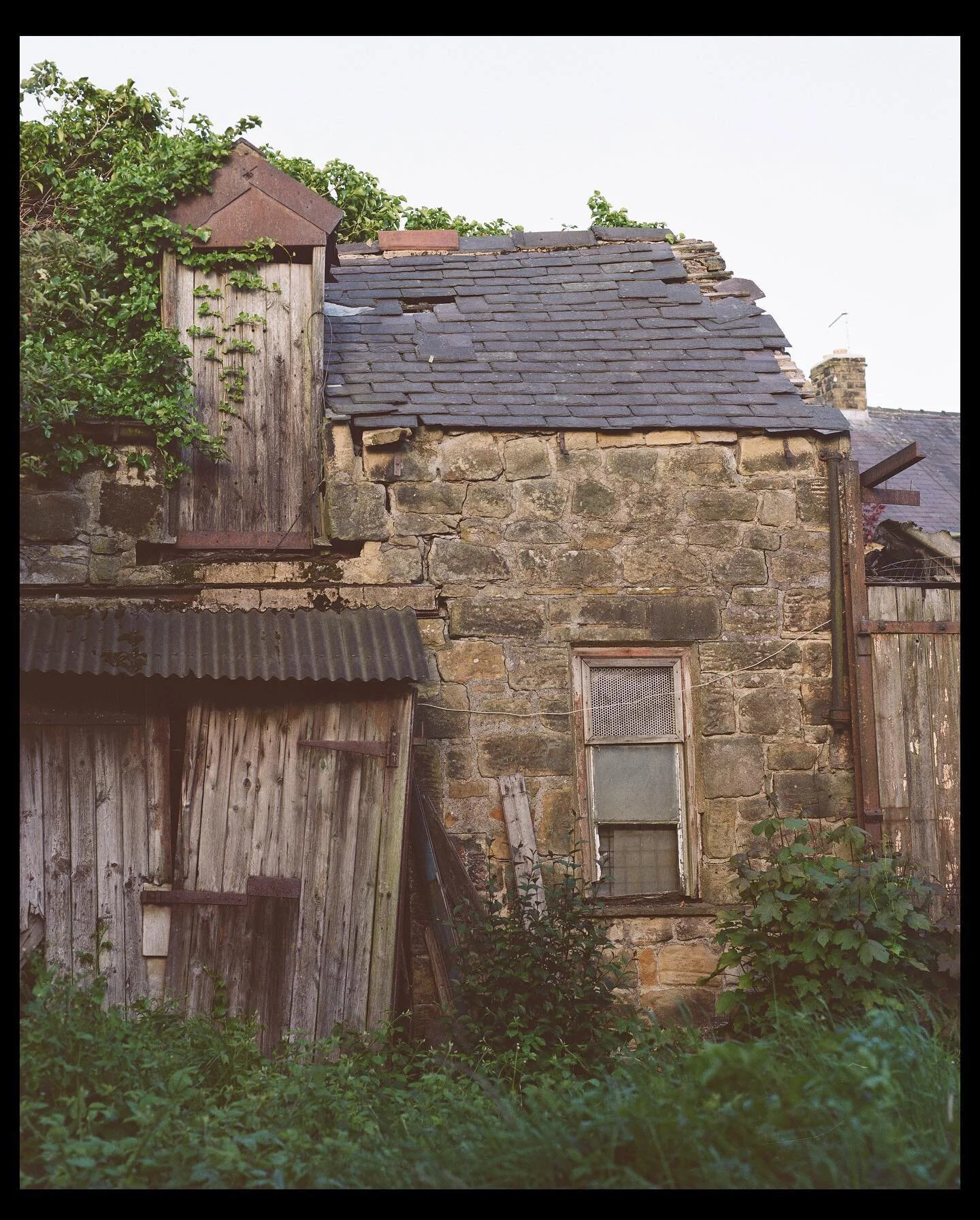 Medium format Kodak gold shots on Mamiya RB67.
.
#mamiyarb67 @mamiya_rb @mamiya_magazine #kodakgold200 @kodakprofessional 
Amazing scanning by @takeiteasylab :)