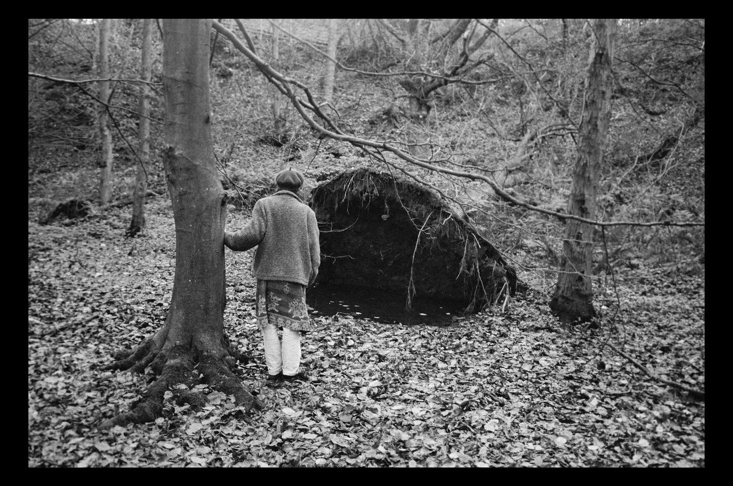 The portal